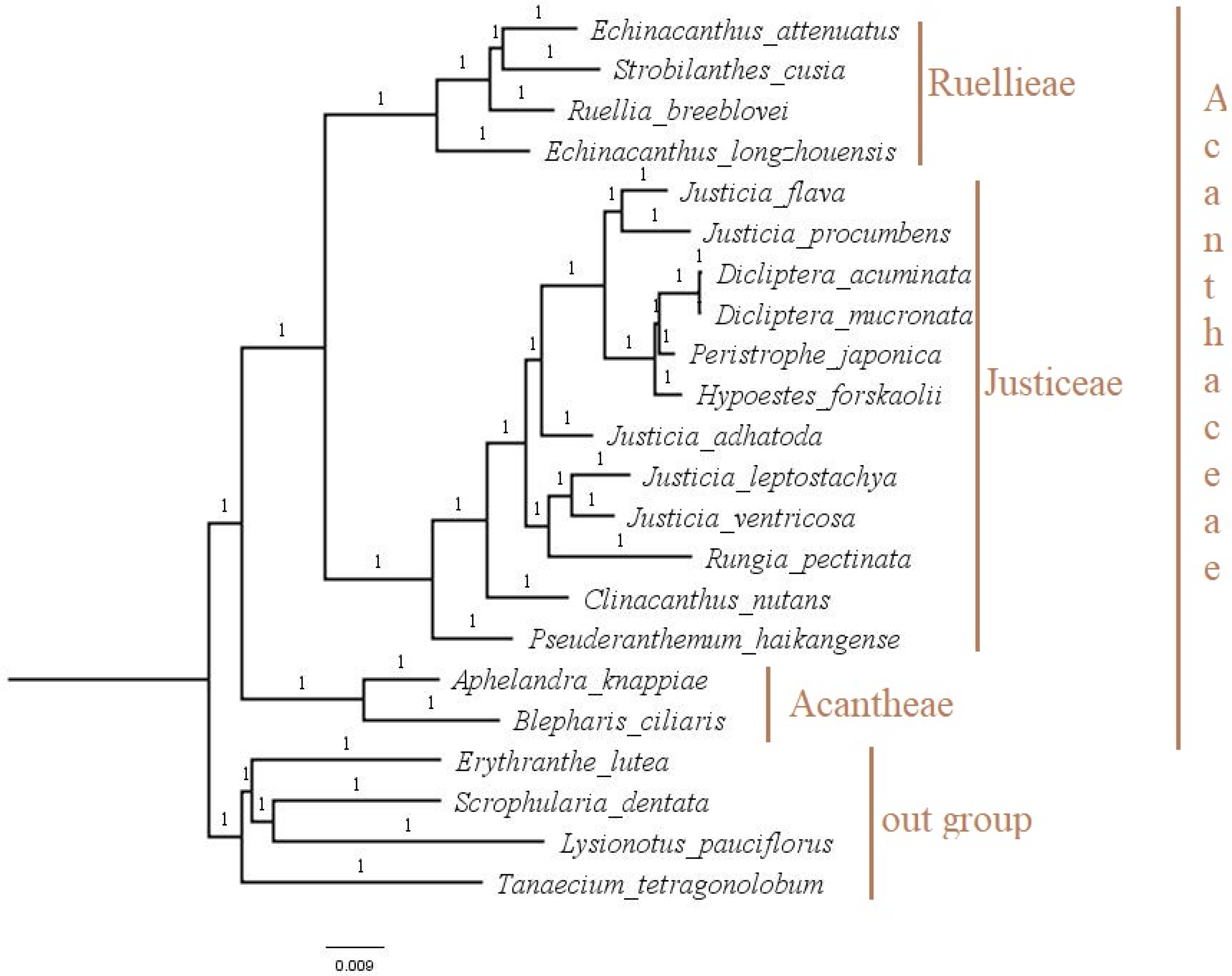 Genes 13 02259 g009 Genes 13 02259 g009