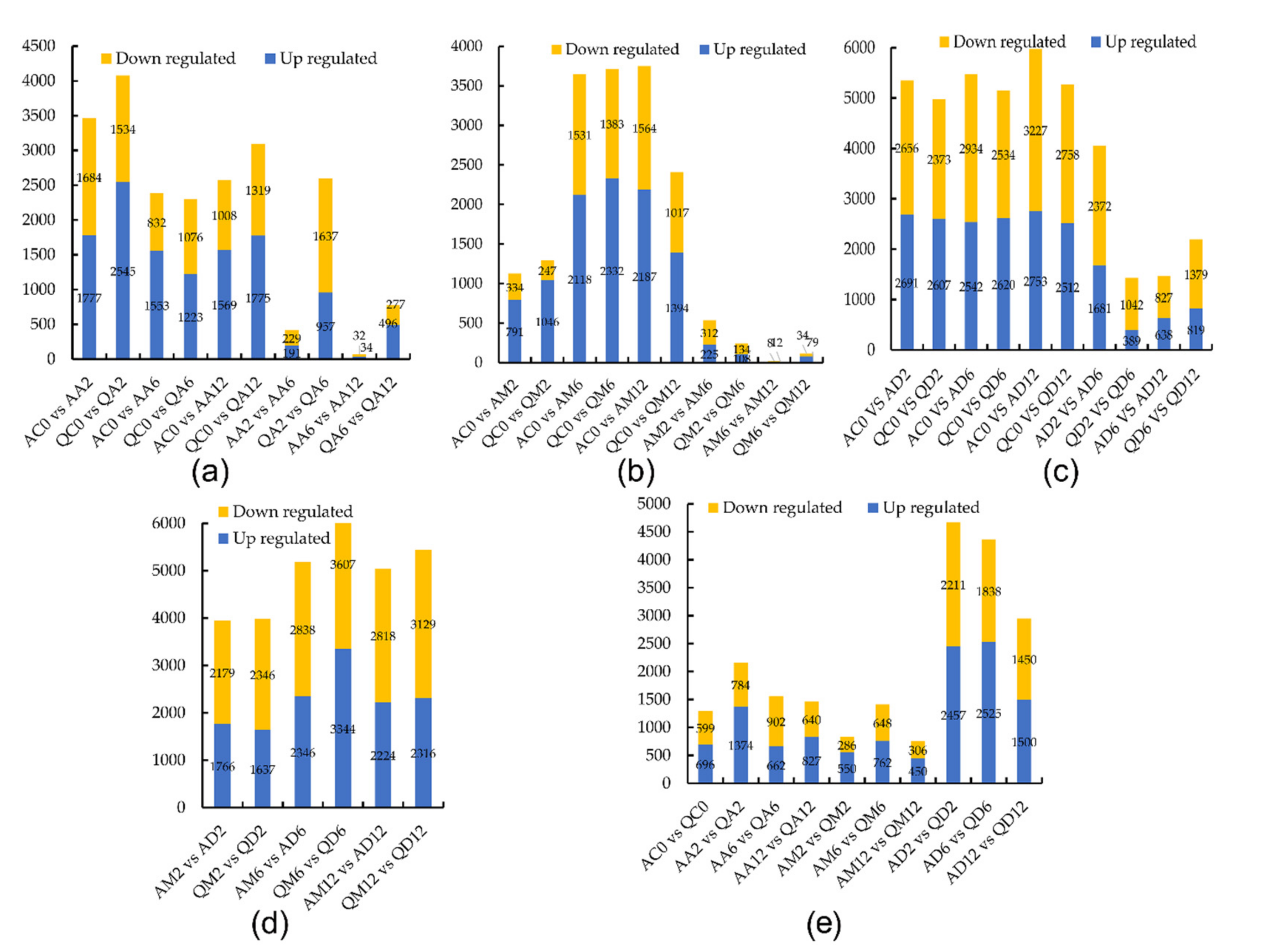 Genes 13 02260 g001 Genes 13 02260 g001