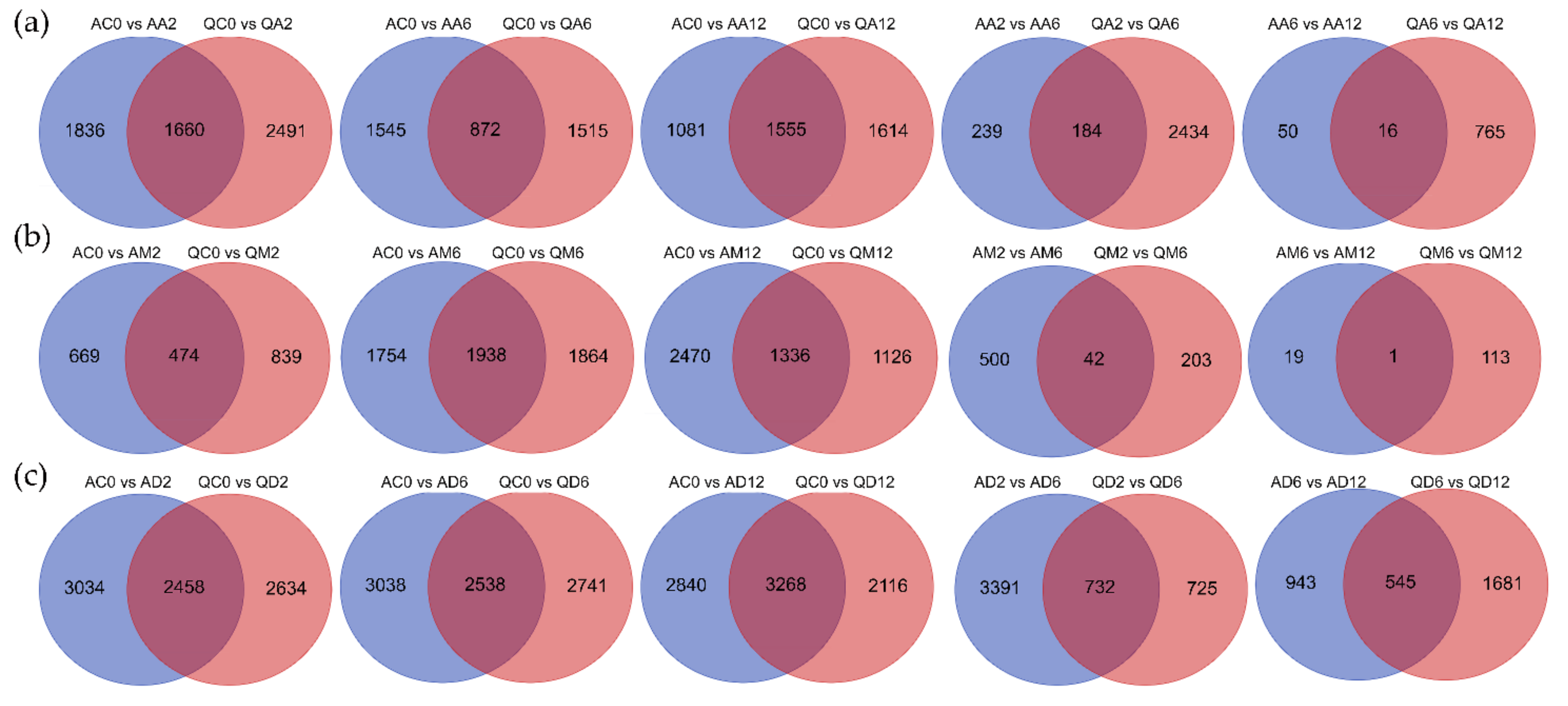 Genes 13 02260 g003 Genes 13 02260 g003