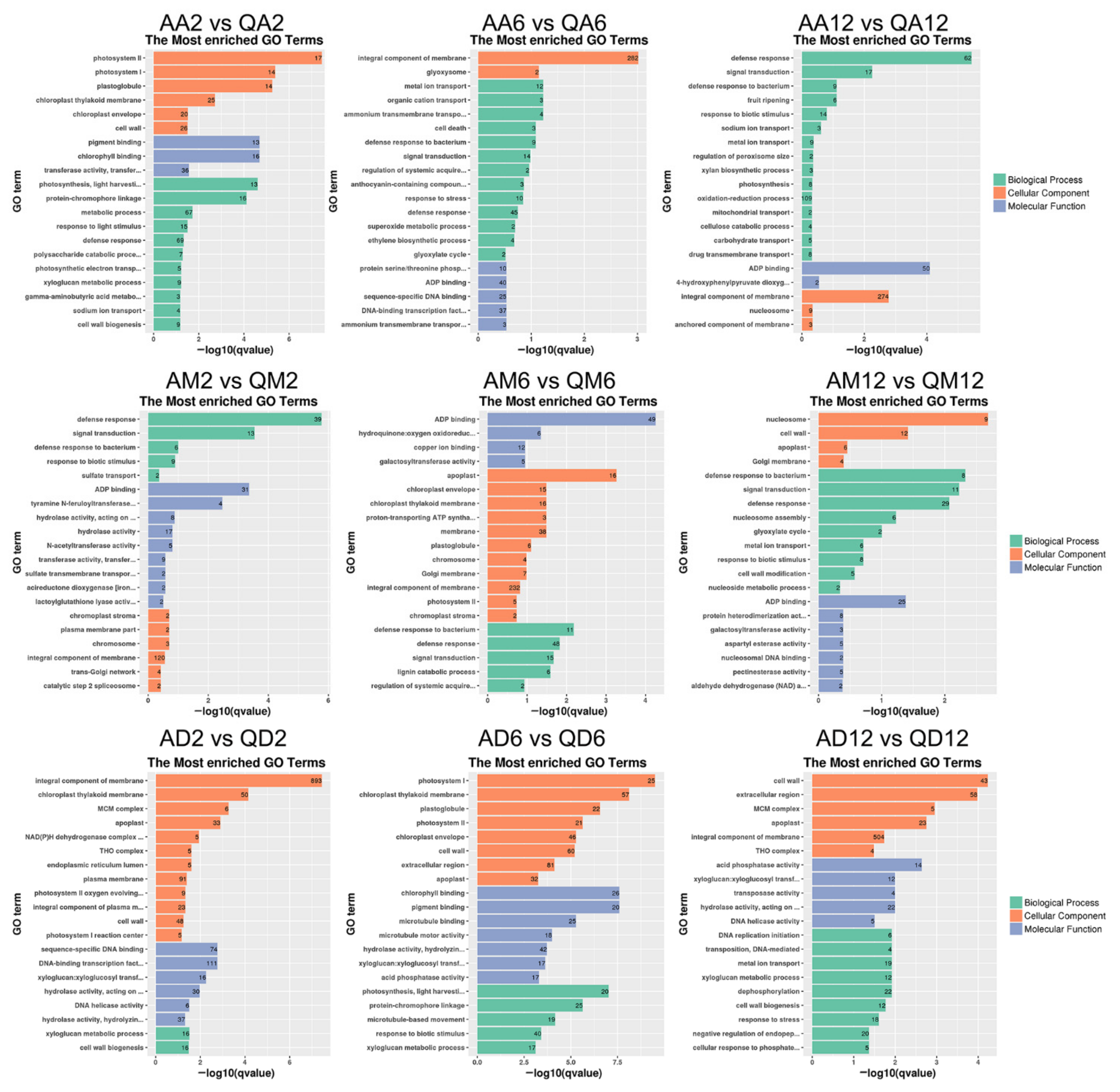 Genes 13 02260 g004 Genes 13 02260 g004