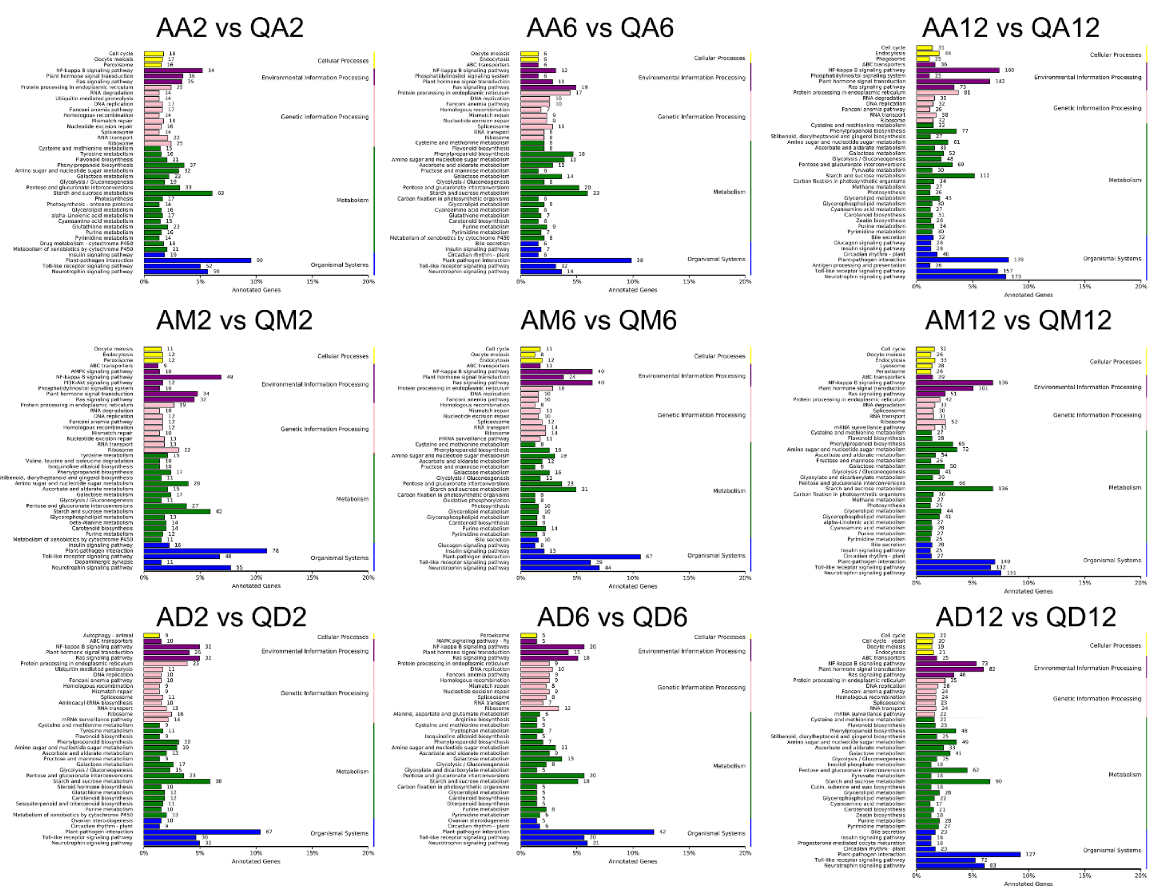 Genes 13 02260 g005 Genes 13 02260 g005