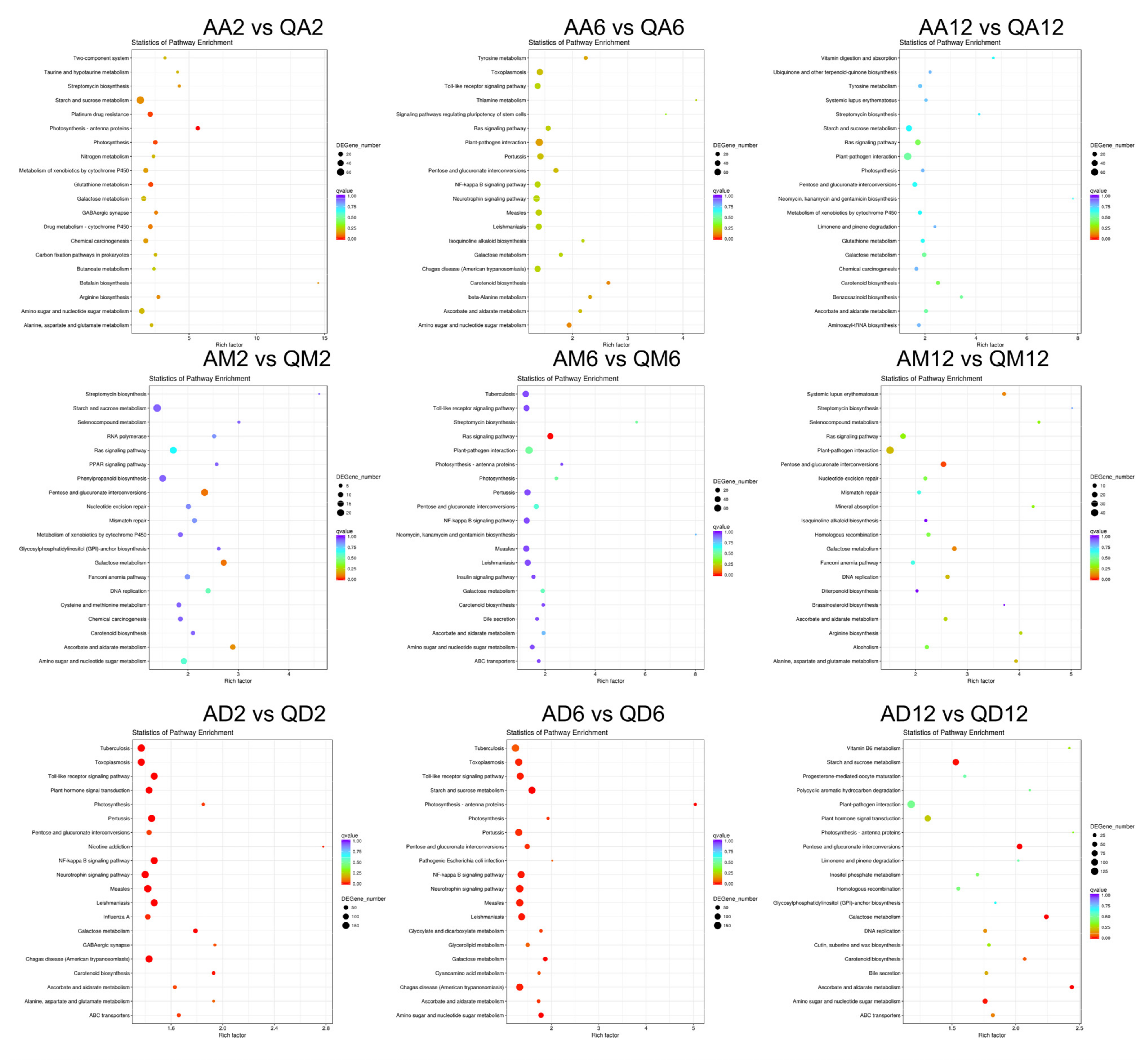 Genes 13 02260 g006 Genes 13 02260 g006