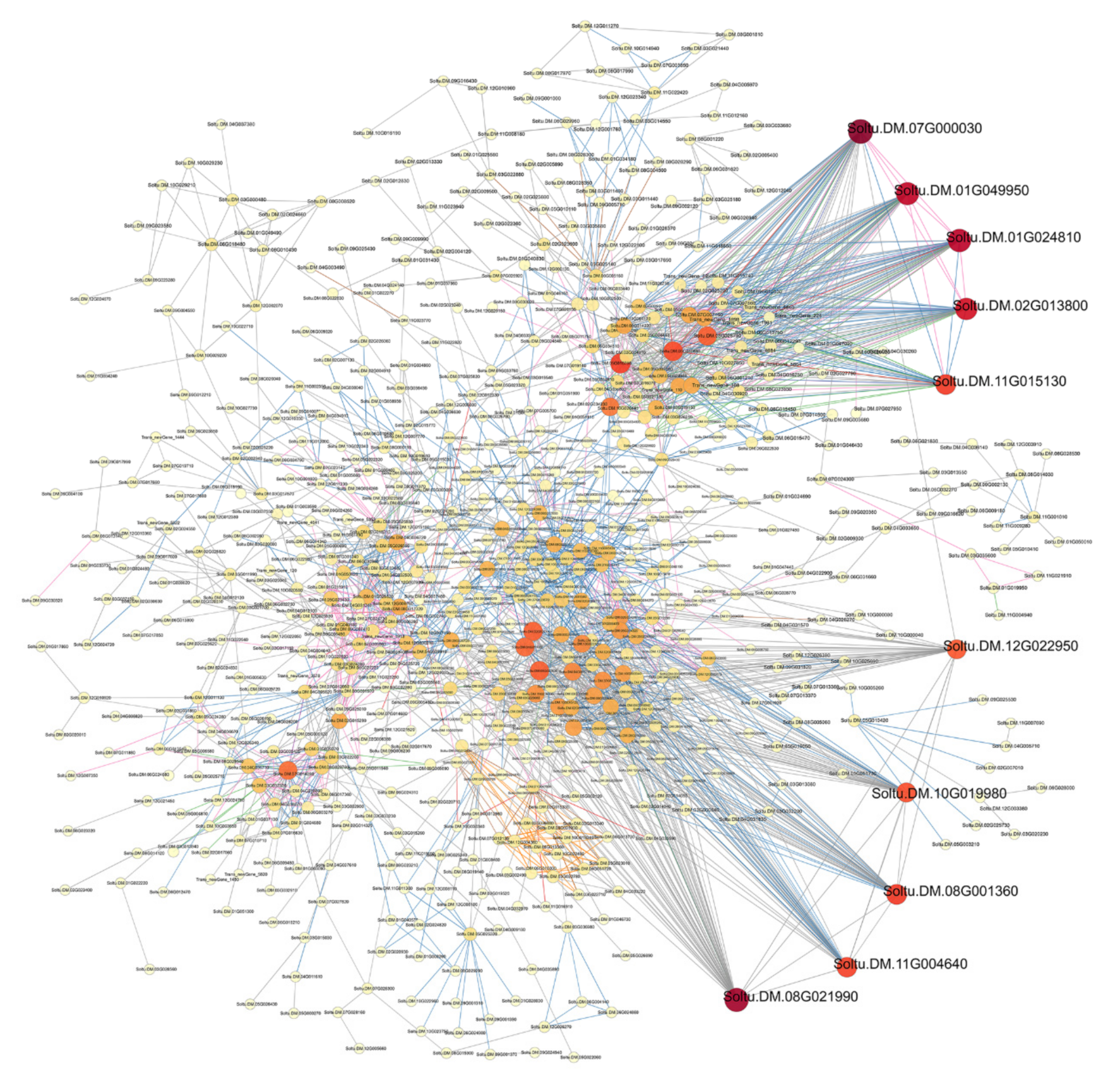 Genes 13 02260 g007 Genes 13 02260 g007