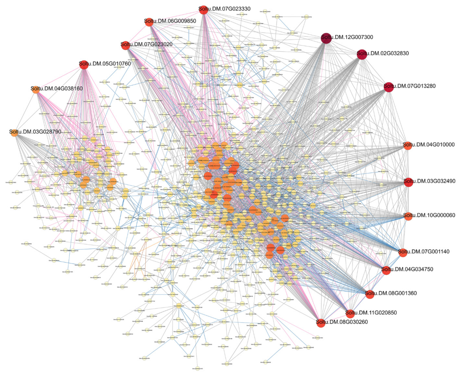Genes 13 02260 g008 Genes 13 02260 g008