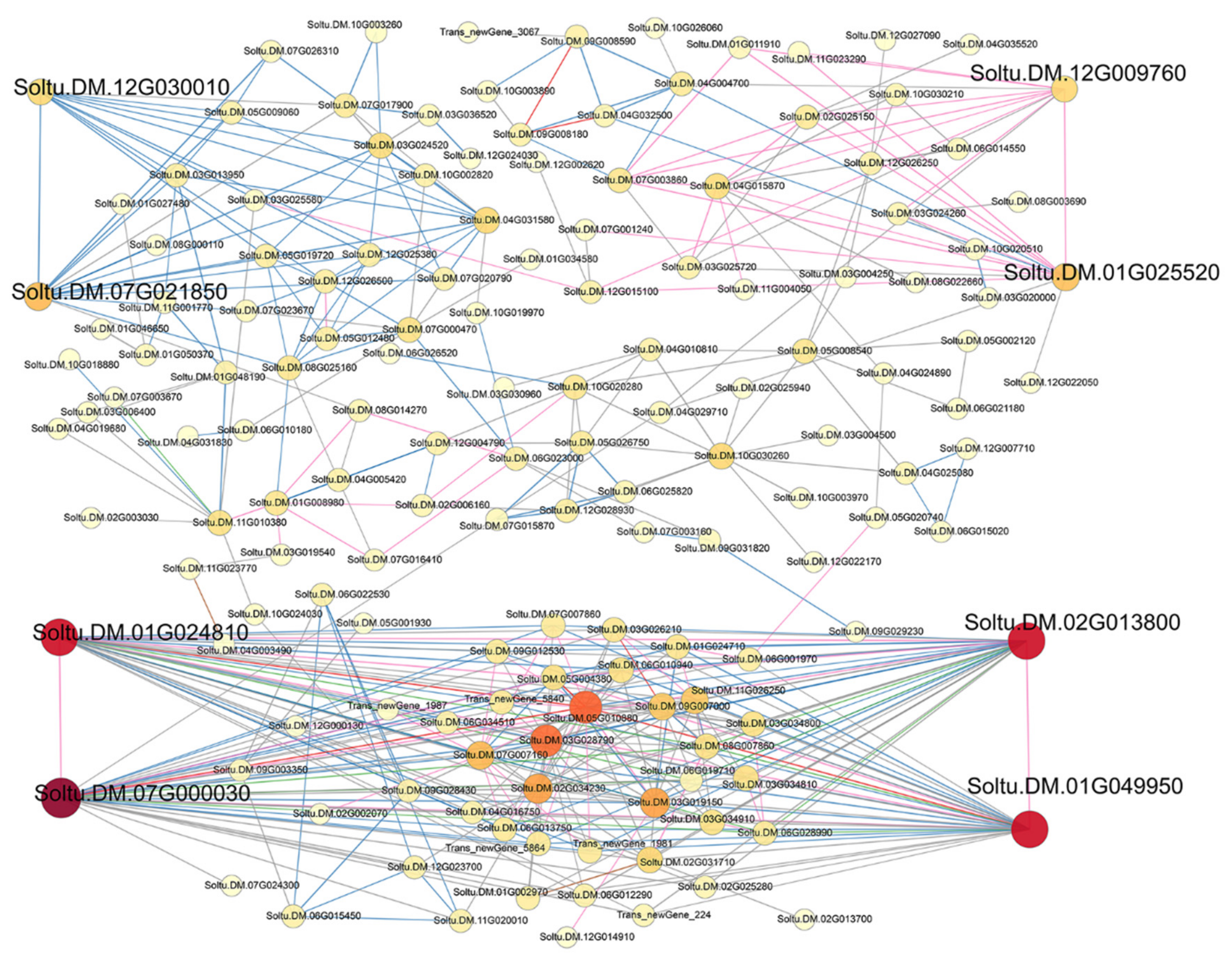 Genes 13 02260 g009 Genes 13 02260 g009