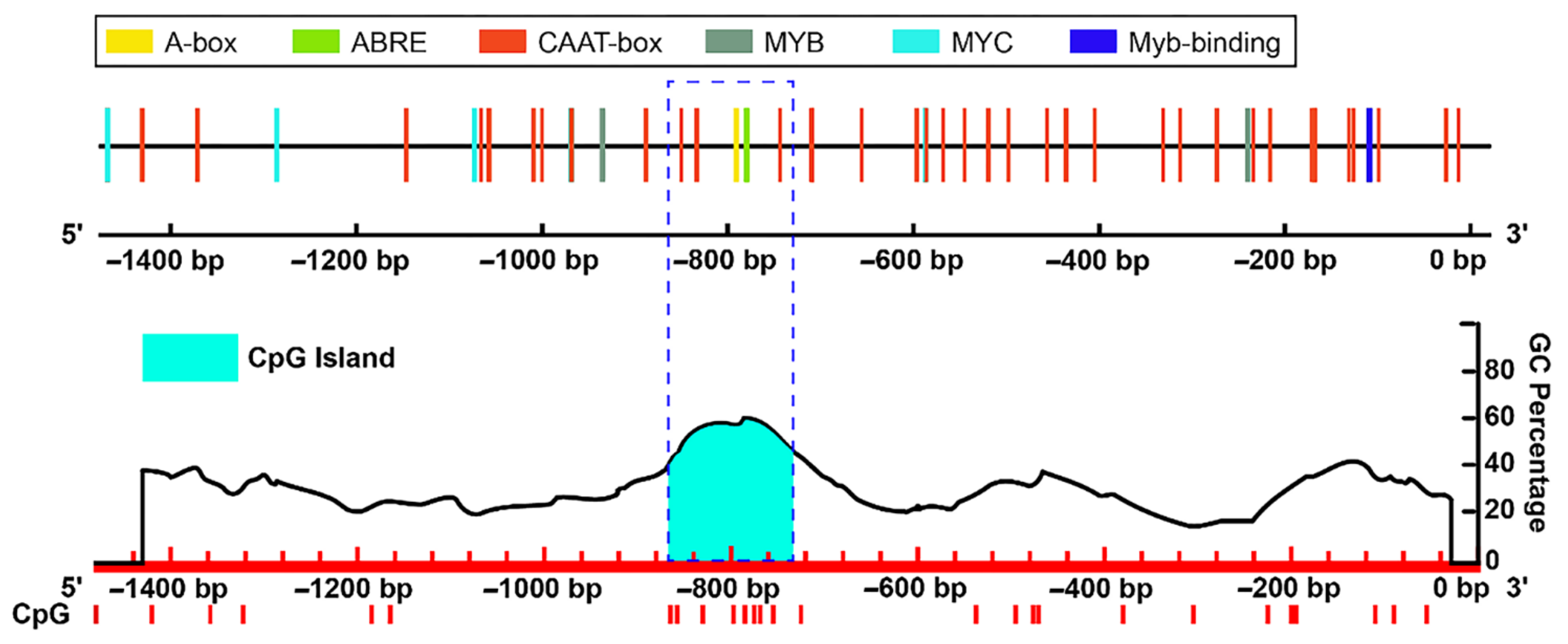 Genes 13 02260 g010 Genes 13 02260 g010