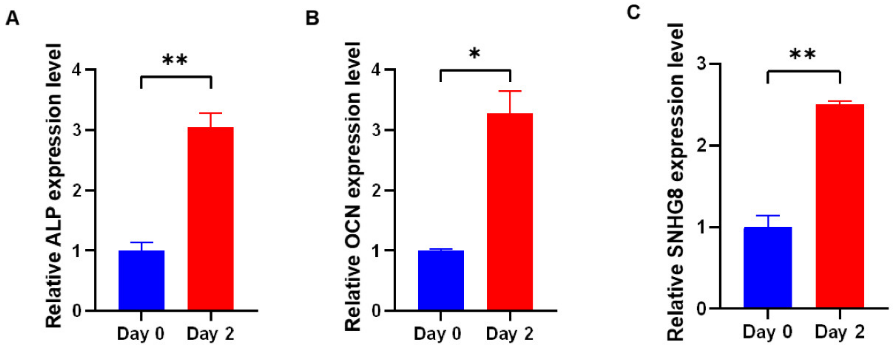 Genes 13 02268 g001 Genes 13 02268 g001