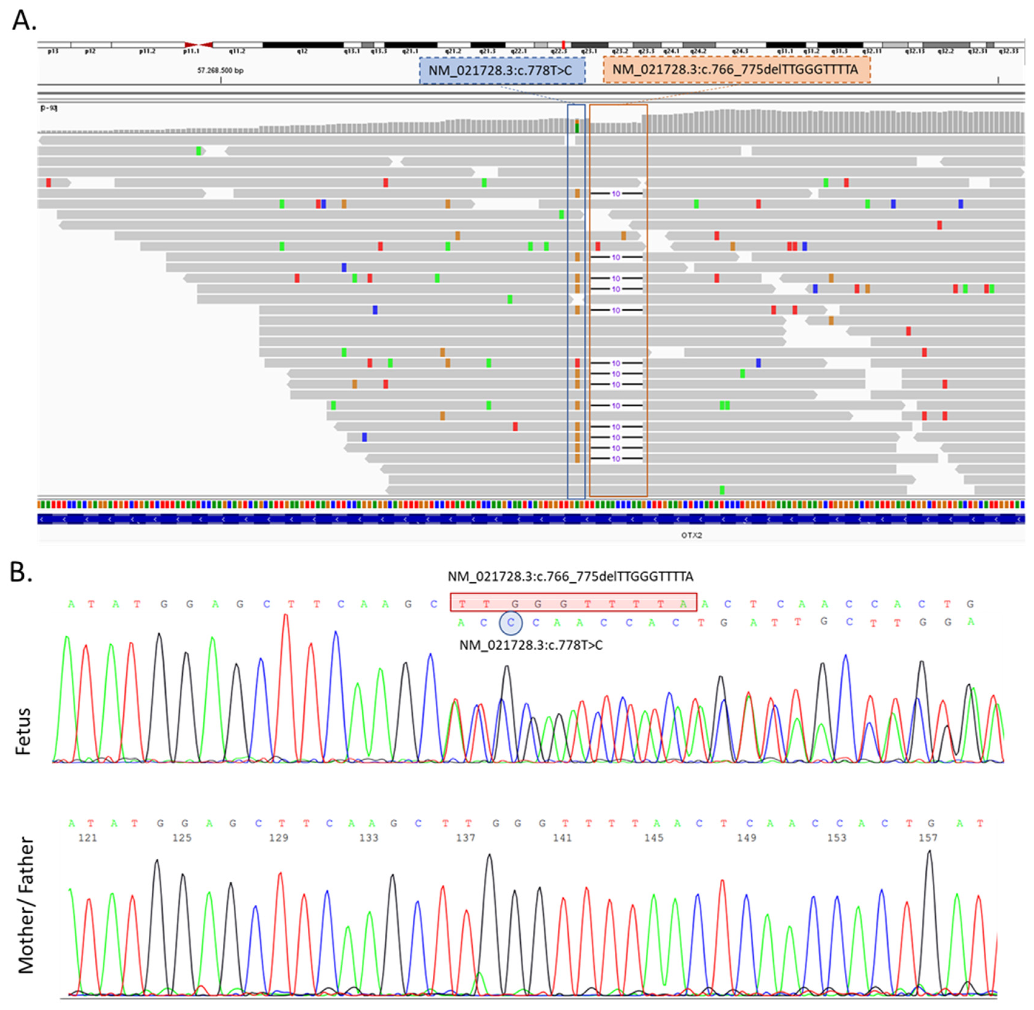Genes 13 02269 g003 Genes 13 02269 g003