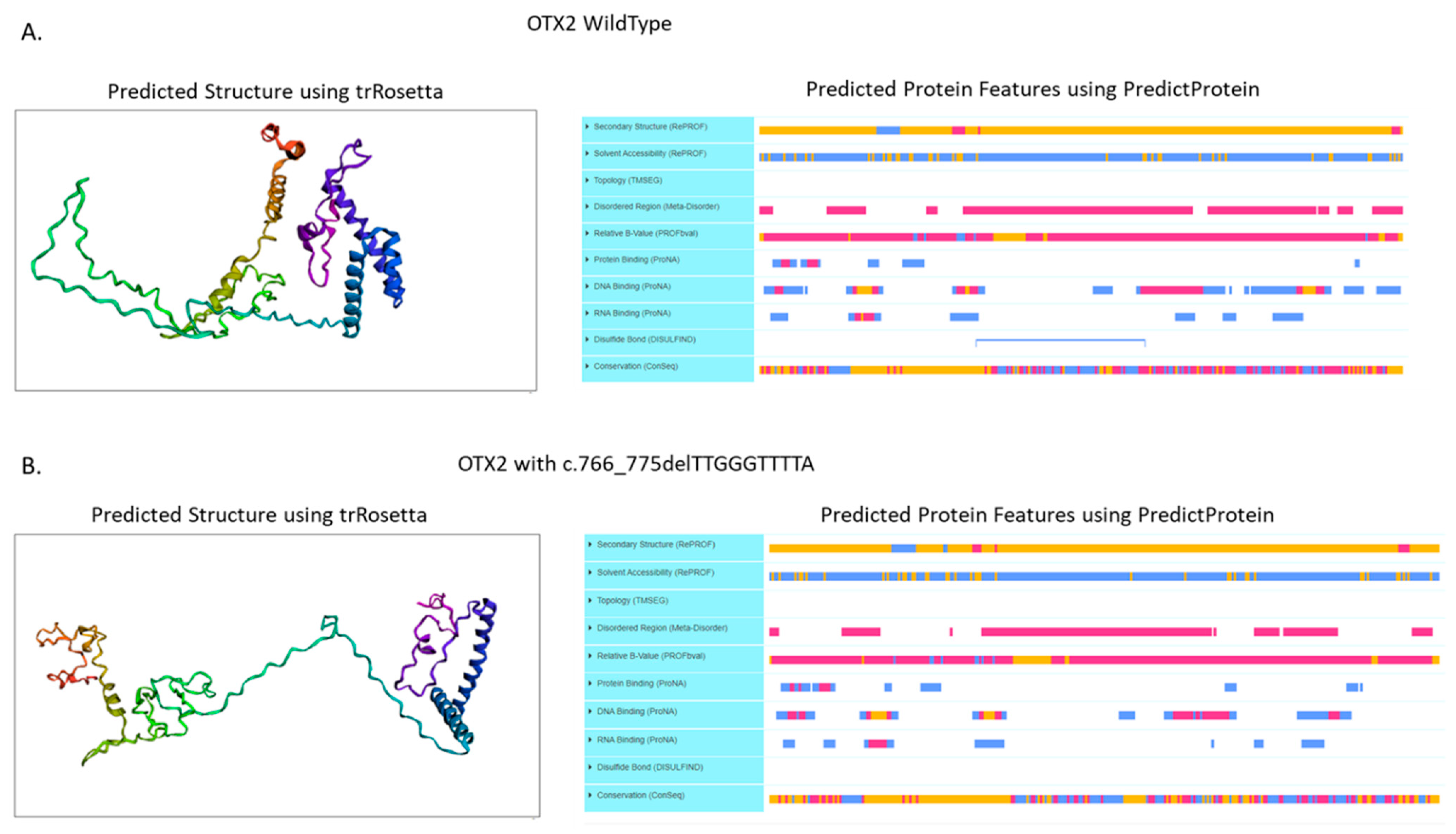 Genes 13 02269 g005 Genes 13 02269 g005