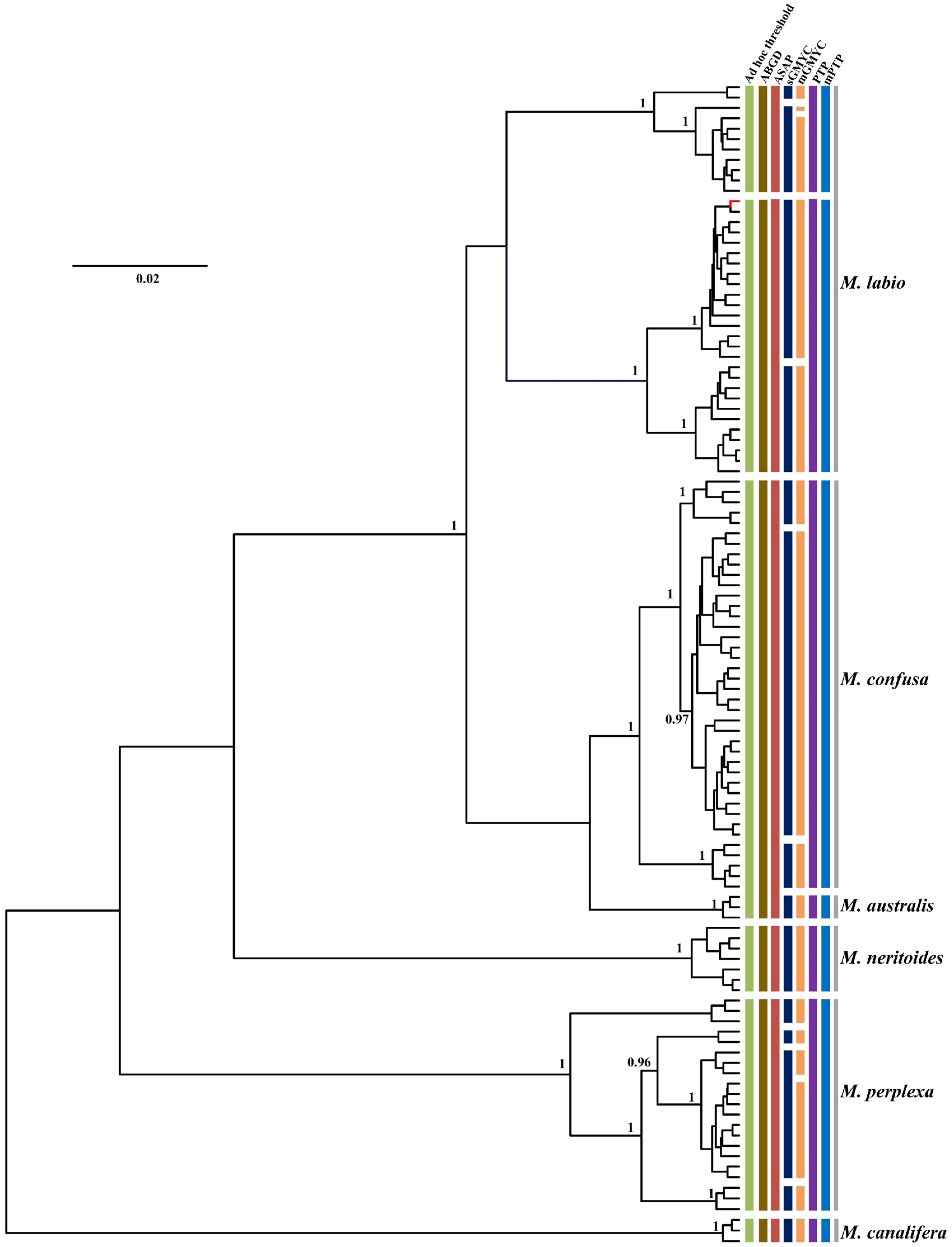 Genes 13 02273 g006
