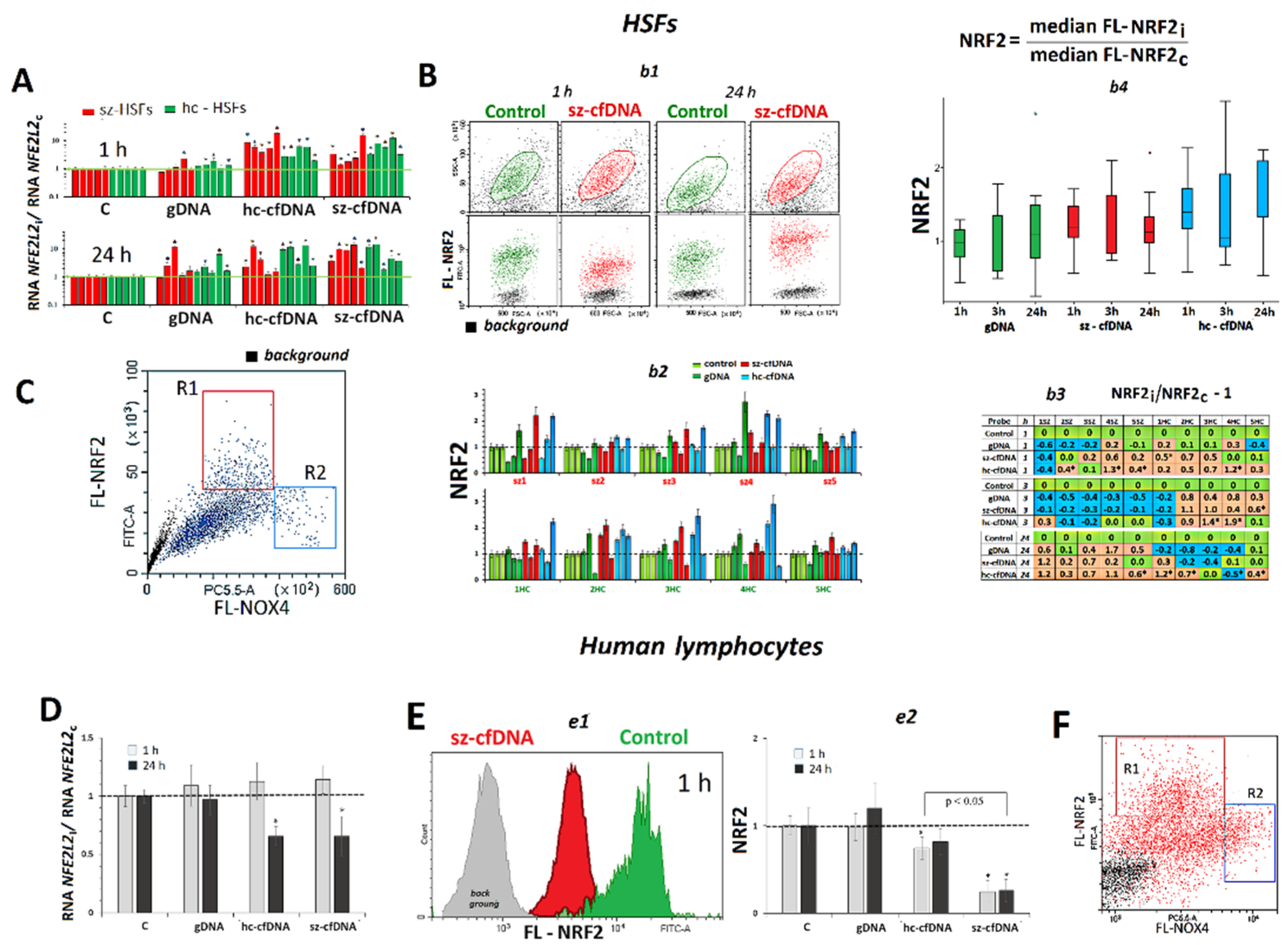 Genes 13 02283 g003 Genes 13 02283 g003