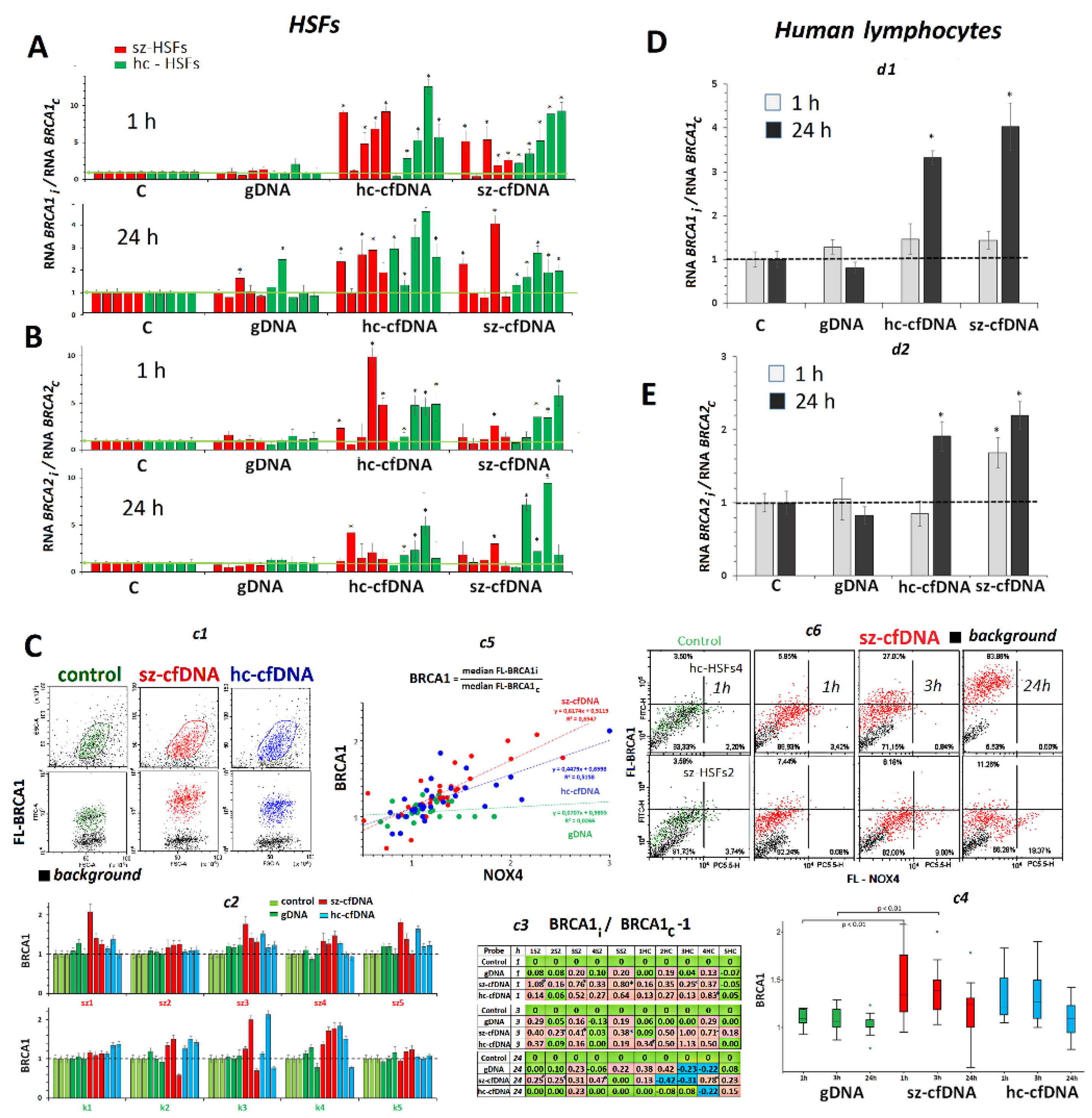 Genes 13 02283 g007 Genes 13 02283 g007