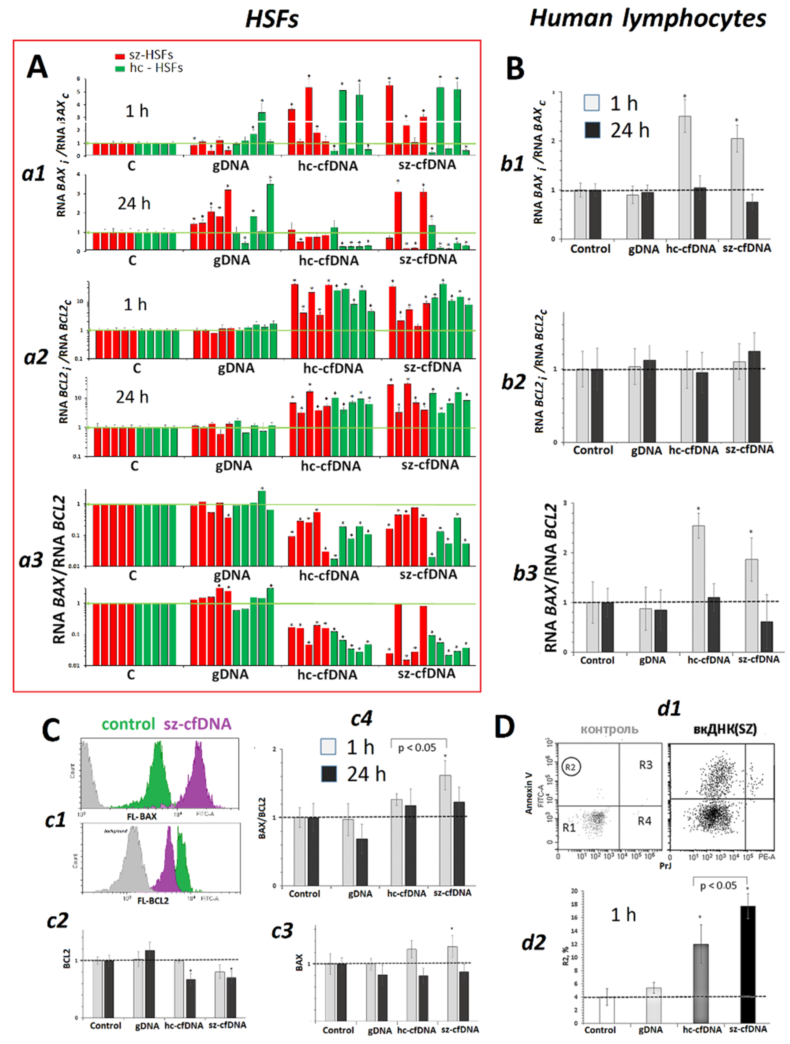 Genes 13 02283 g008 Genes 13 02283 g008