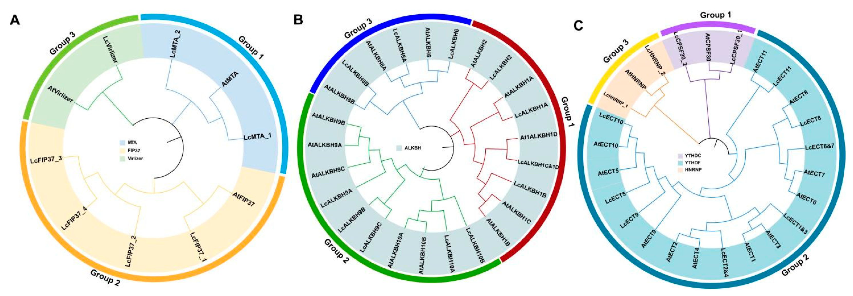 Genes 13 02284 g001 Genes 13 02284 g001