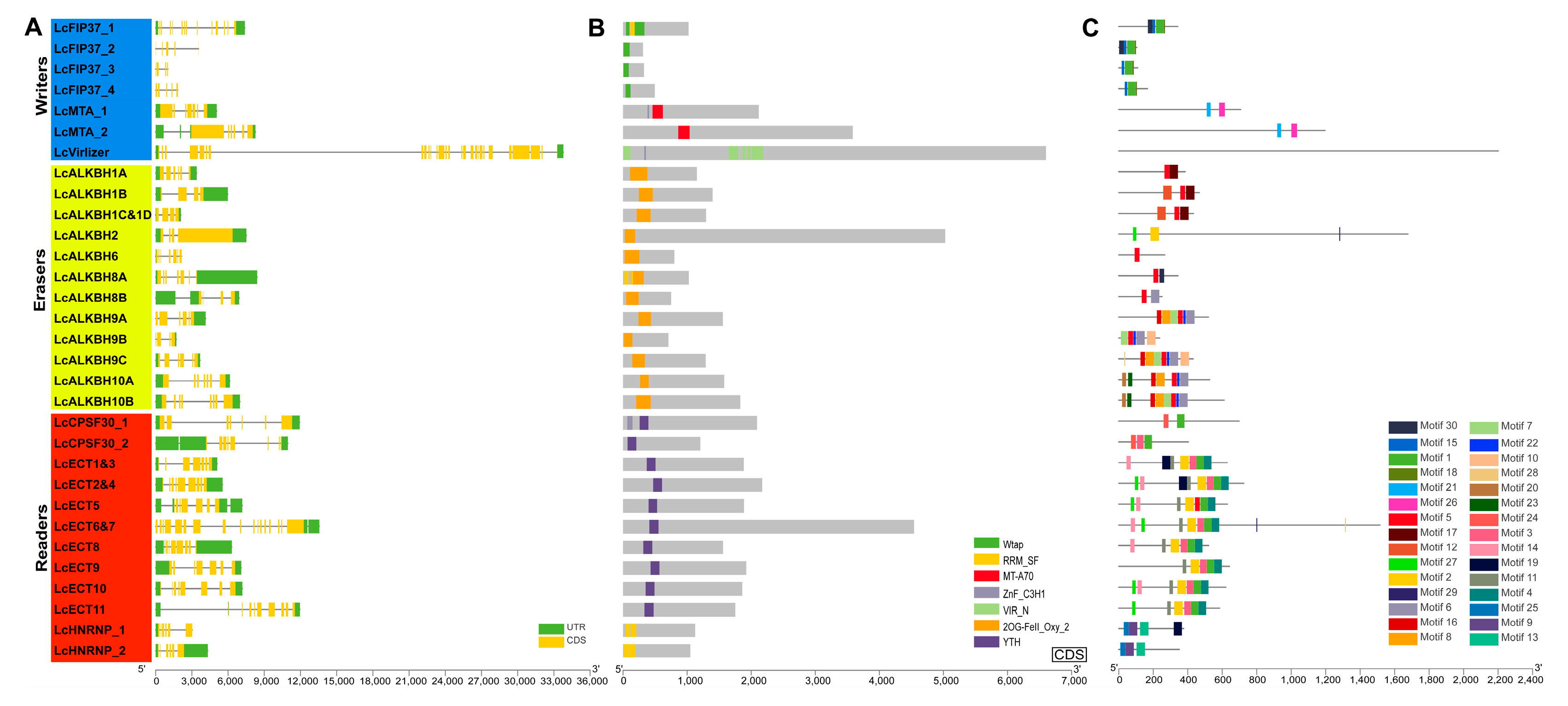 Genes 13 02284 g002 Genes 13 02284 g002