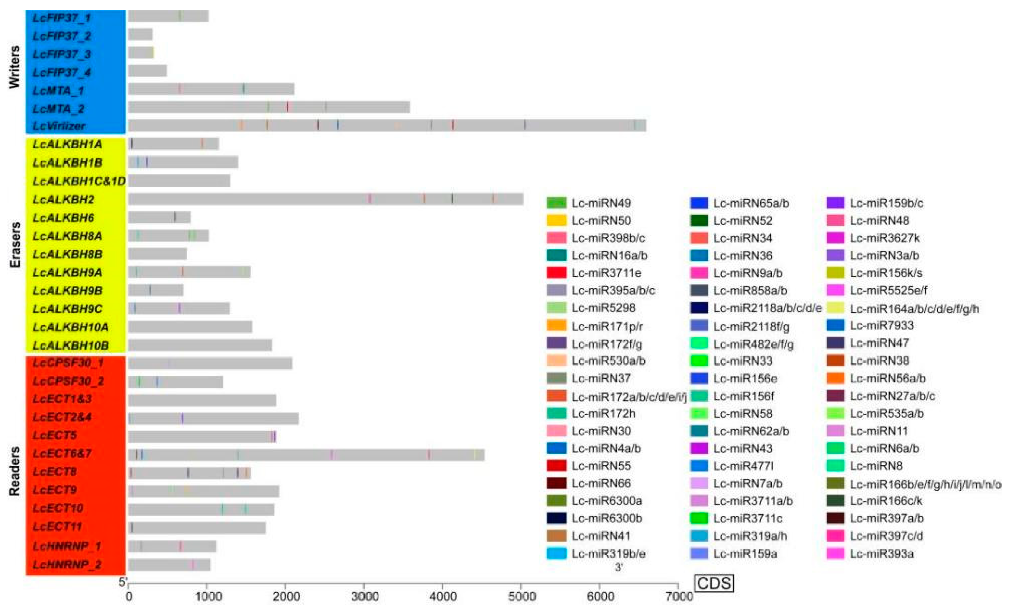 Genes 13 02284 g003 Genes 13 02284 g003