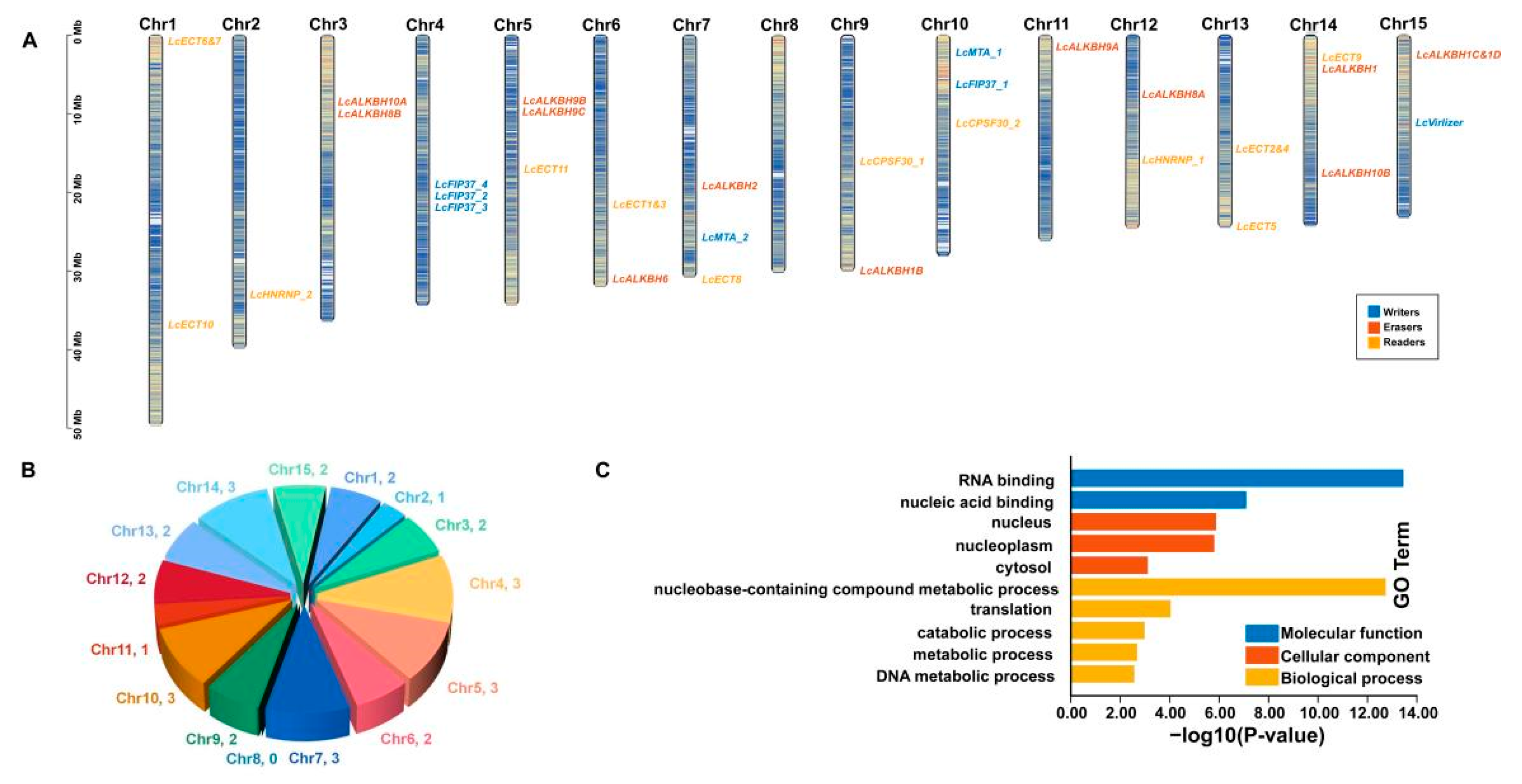 Genes 13 02284 g004 Genes 13 02284 g004