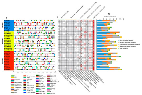 Genome-Wide Identification and Expression Analysis of m6A Writers ...