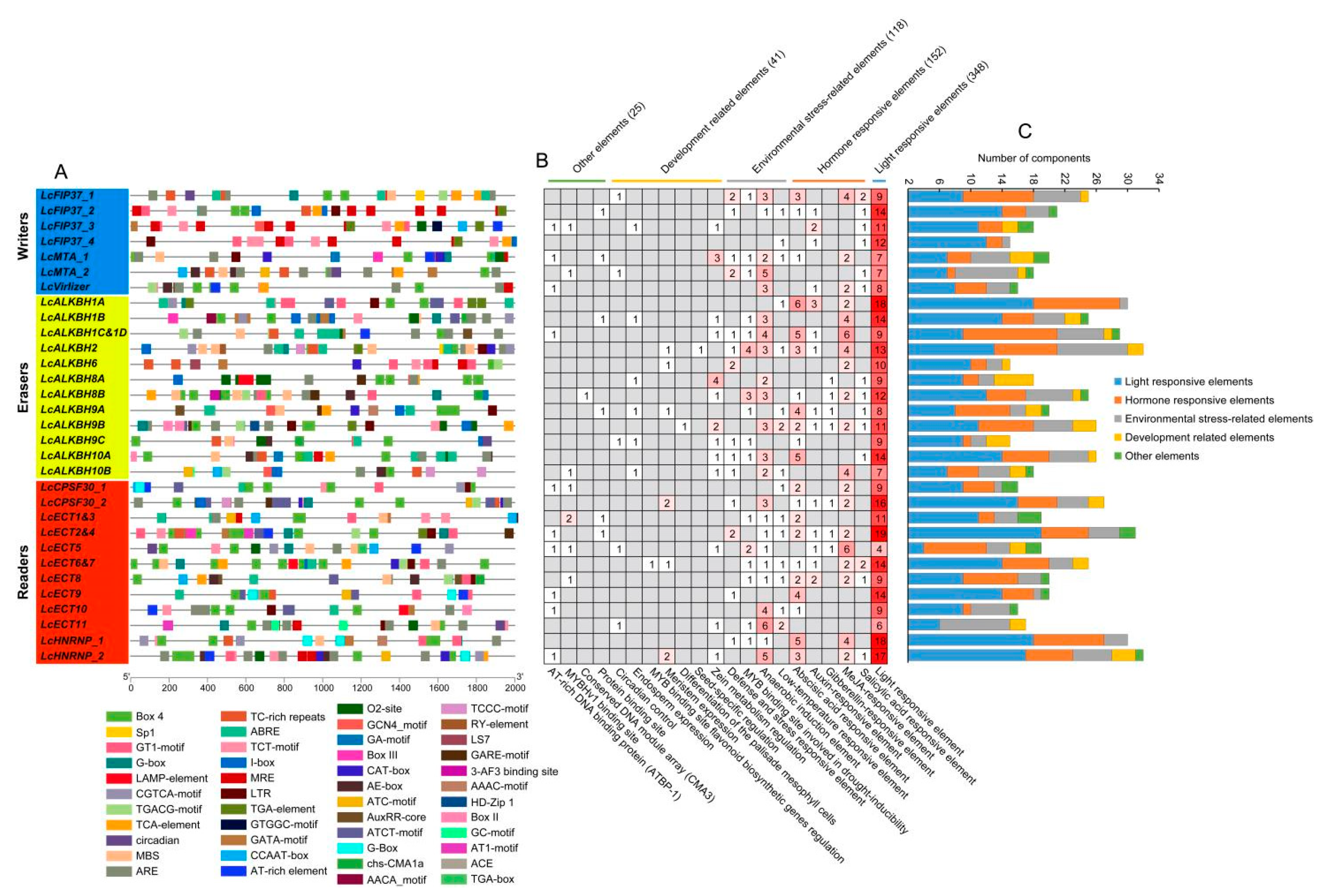 Genes 13 02284 g005 Genes 13 02284 g005