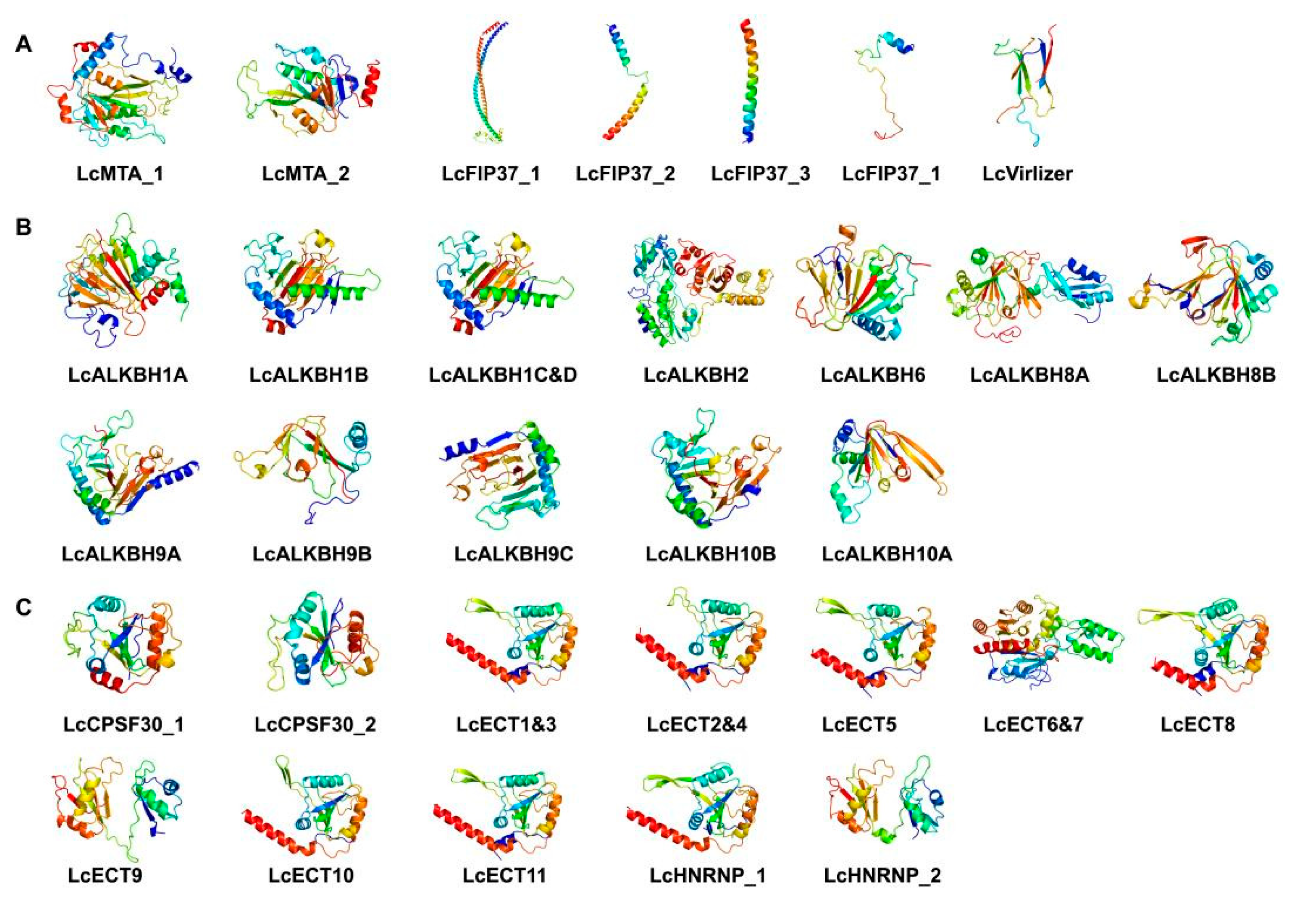 Genes 13 02284 g006 Genes 13 02284 g006