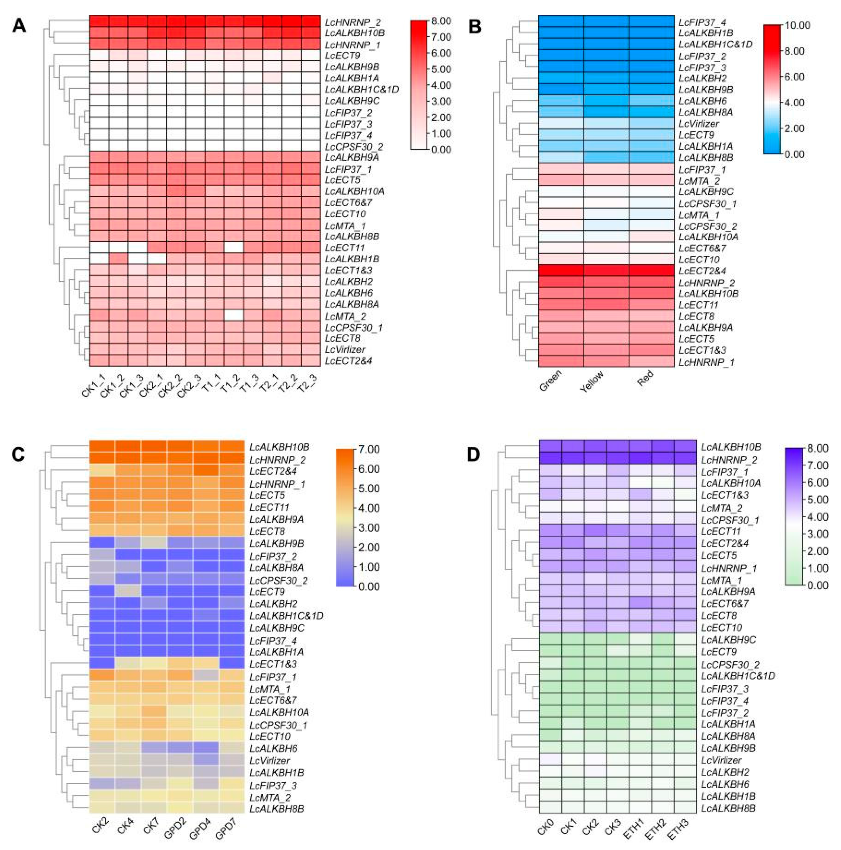 Genes 13 02284 g007 Genes 13 02284 g007