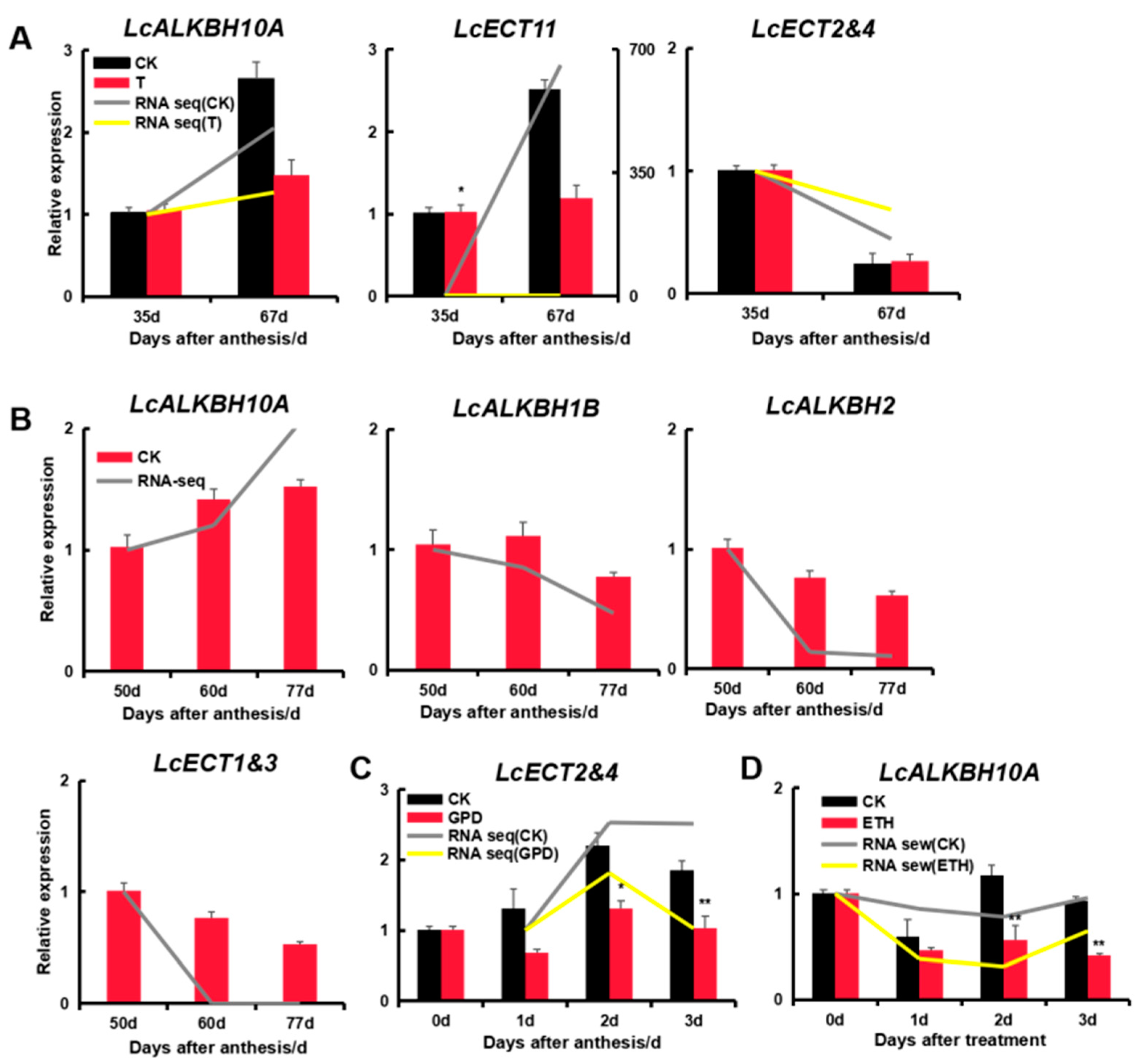 Genes 13 02284 g008 Genes 13 02284 g008