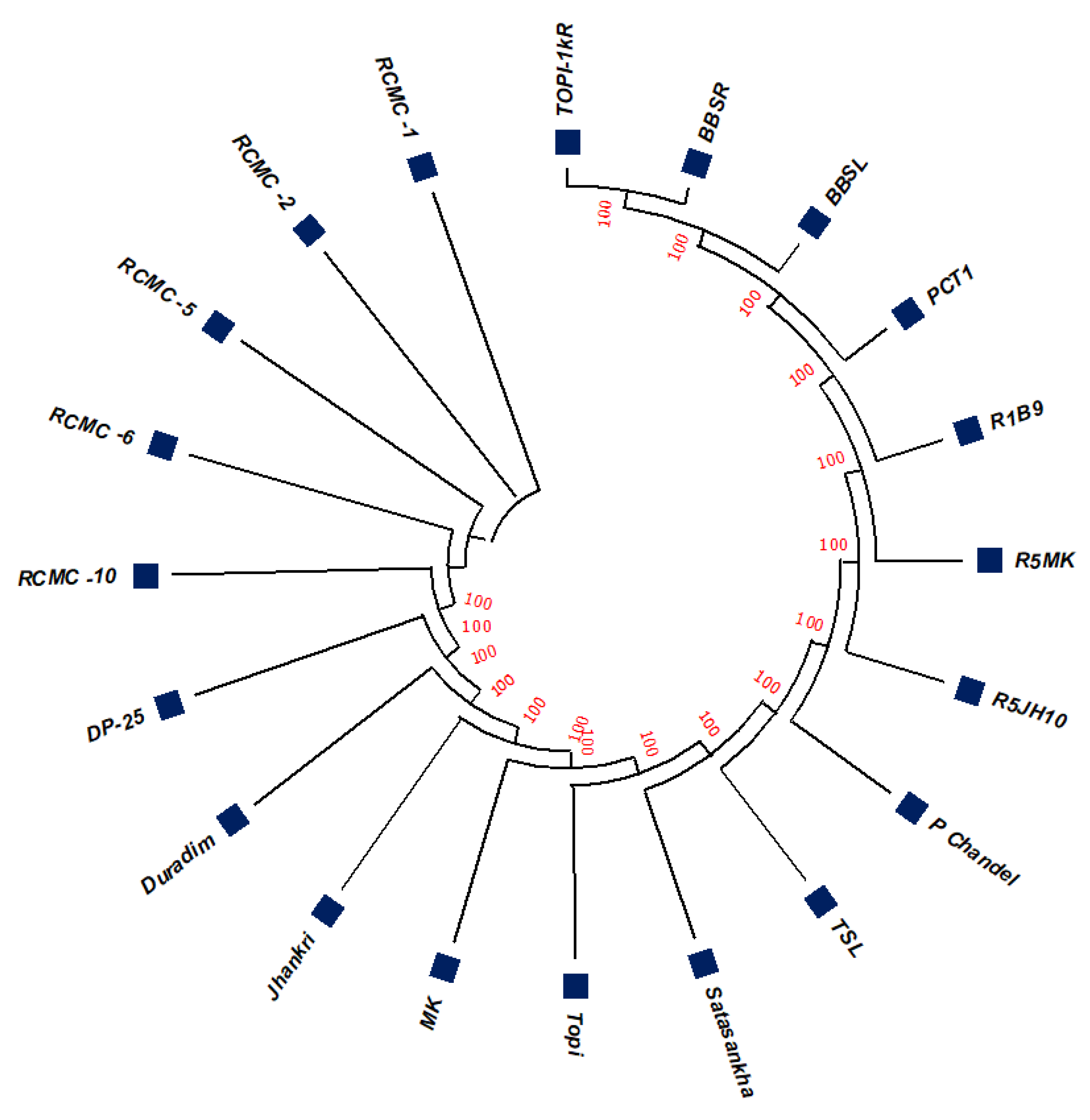 Genes 13 02294 g002 Genes 13 02294 g002