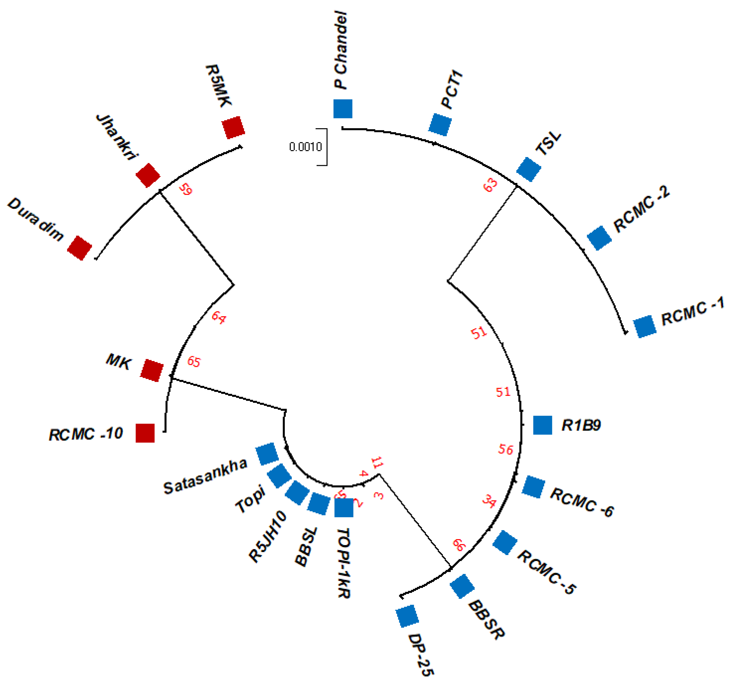 Genes 13 02294 g003 Genes 13 02294 g003