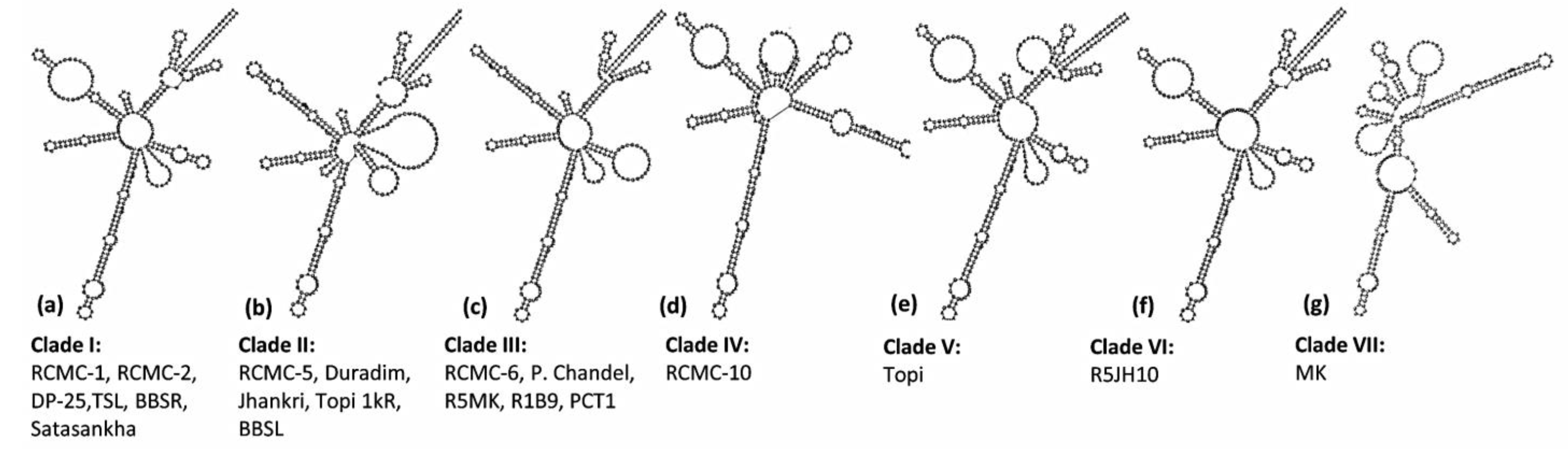 Genes 13 02294 g004 Genes 13 02294 g004