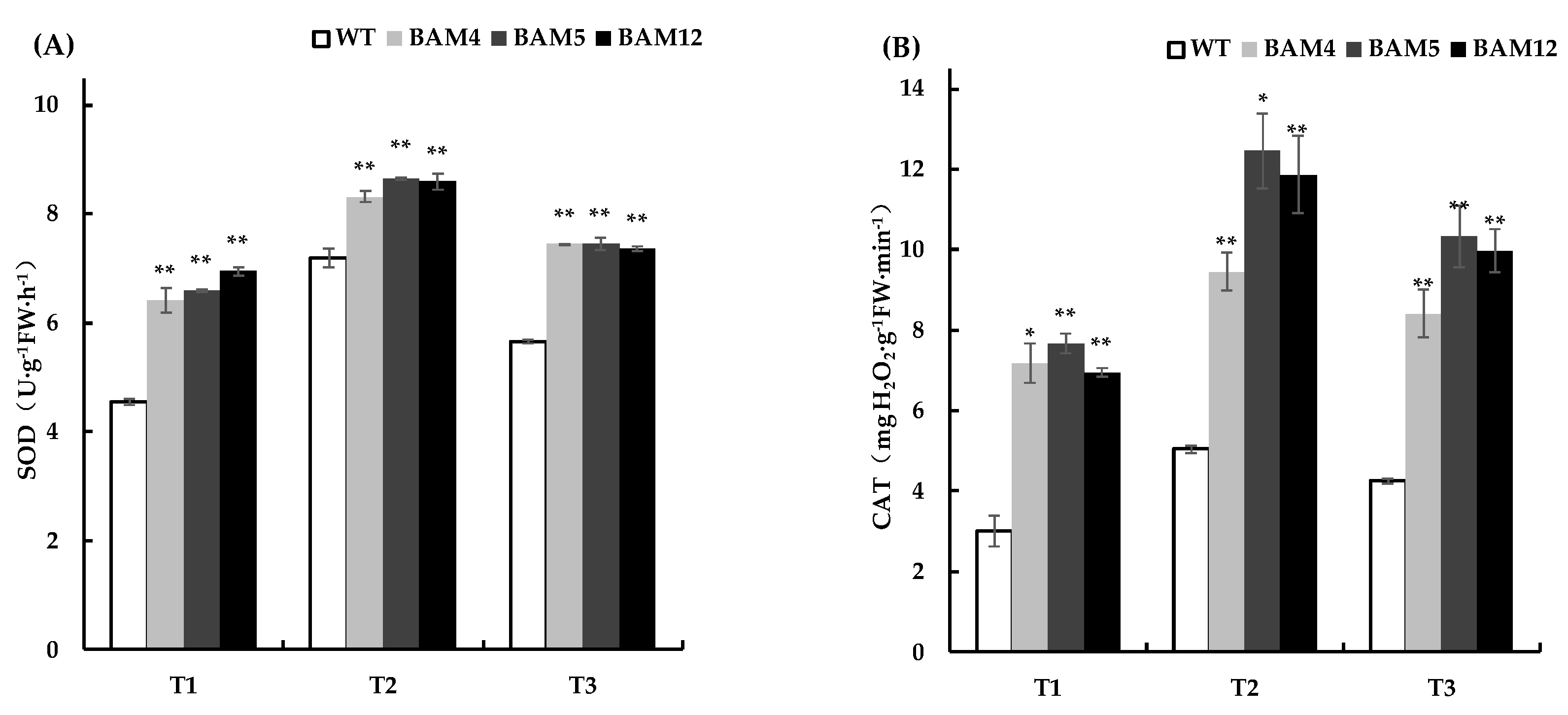 Genes 13 02296 g010a