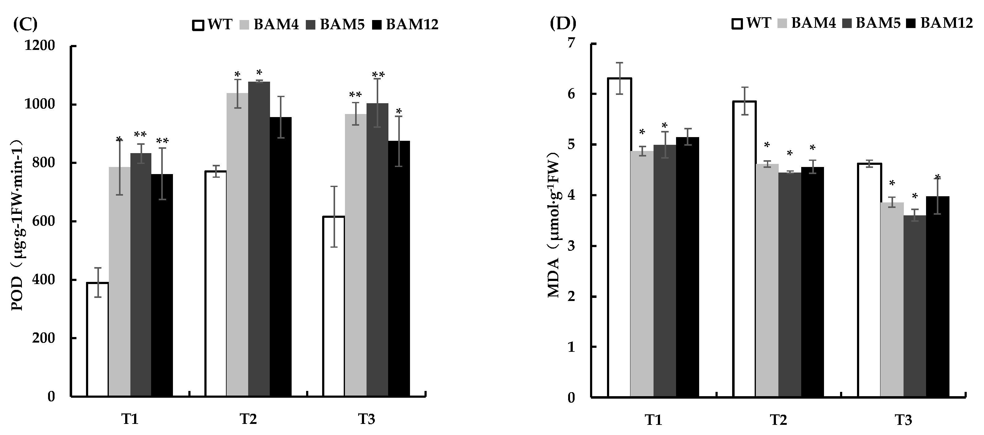 Genes 13 02296 g010b