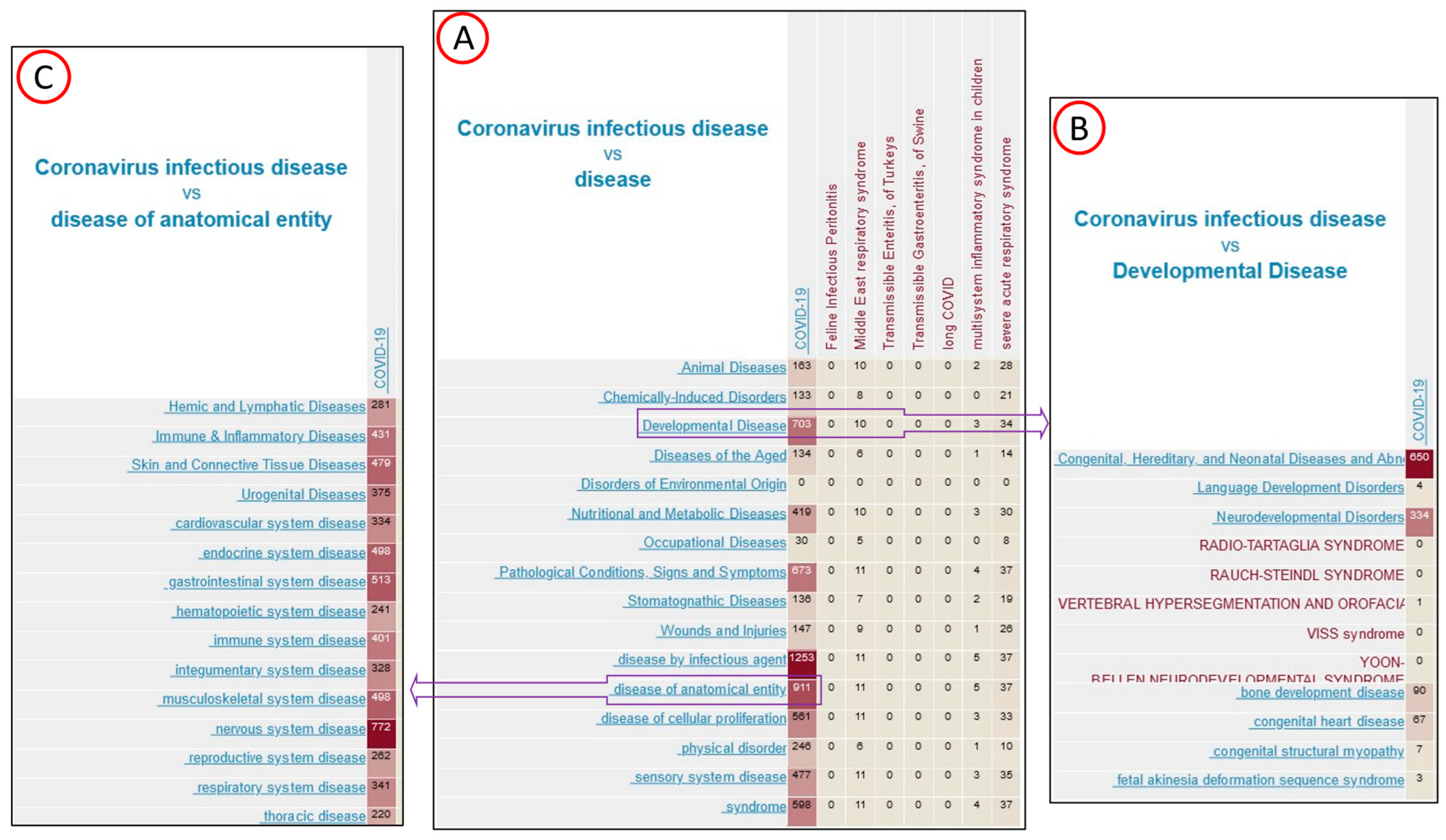 Genes 13 02304 g003 Genes 13 02304 g003