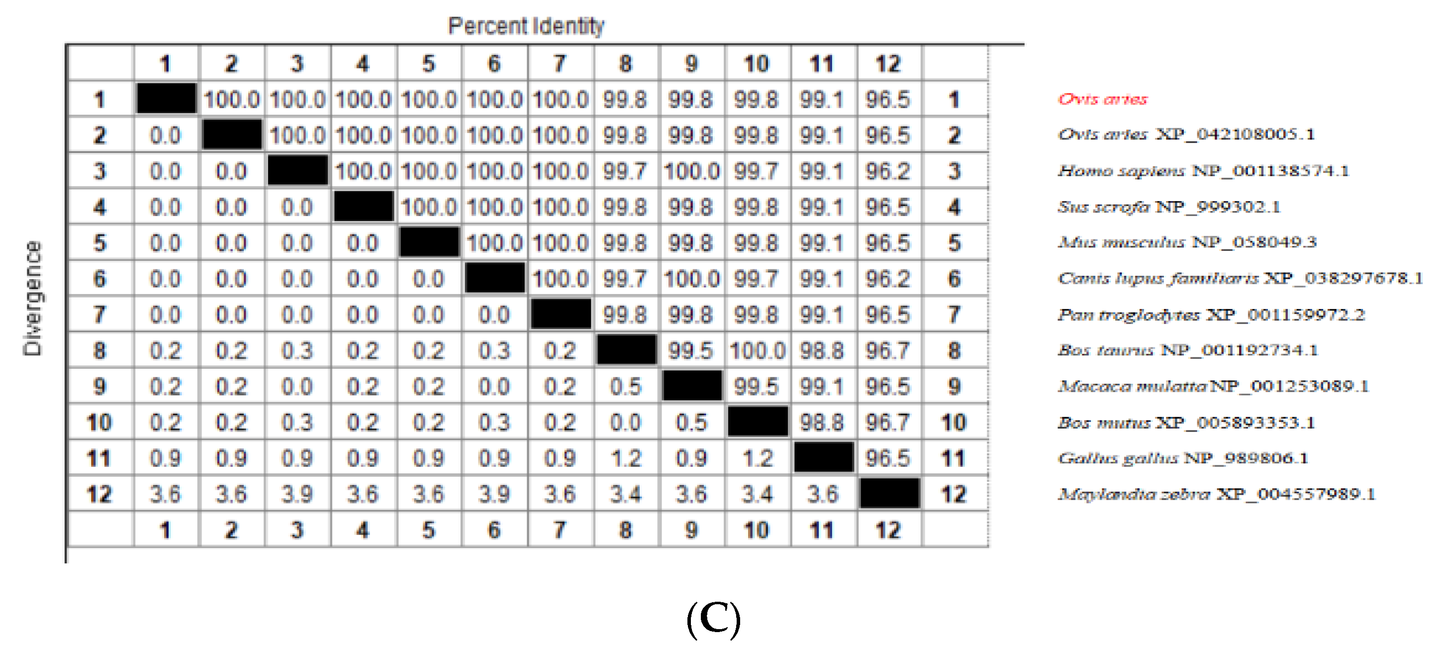 Genes 13 02307 g001b