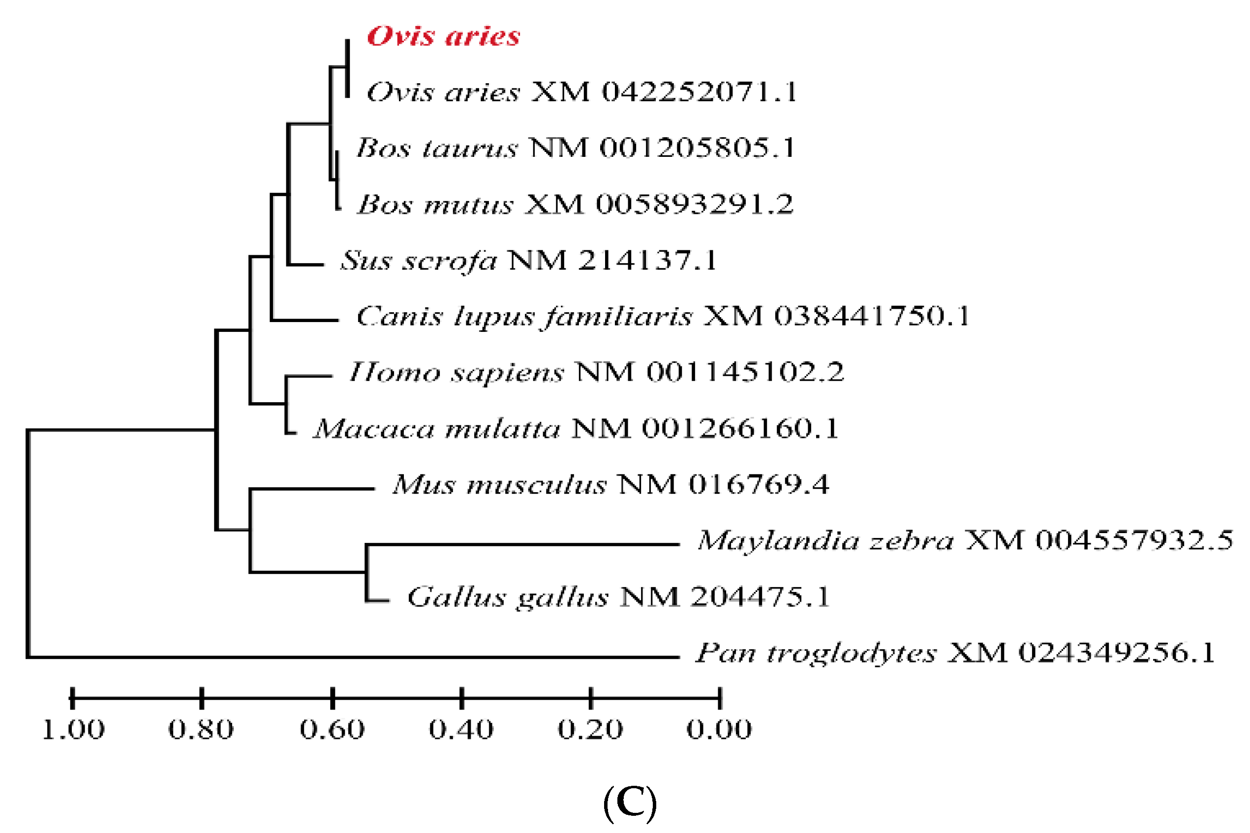 Genes 13 02307 g002b