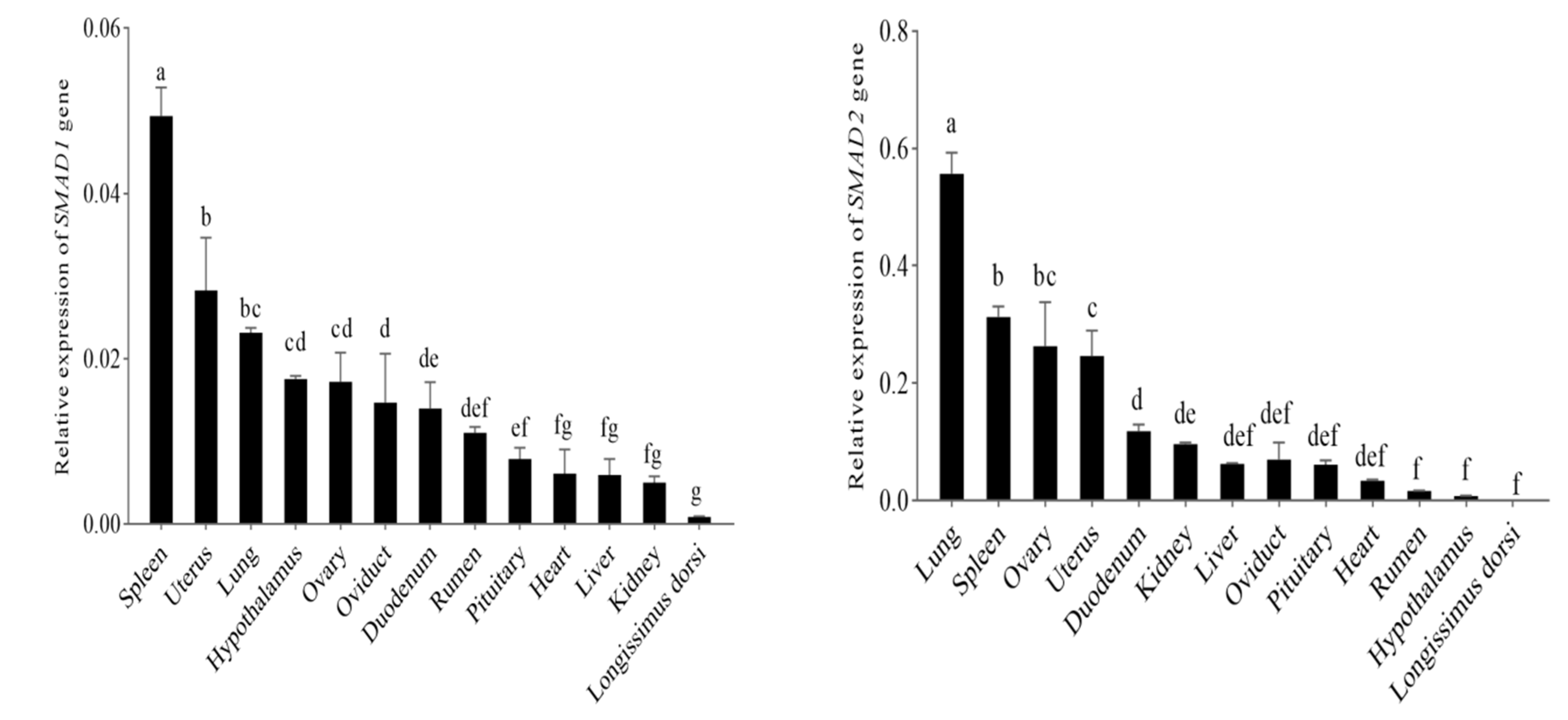 Genes 13 02307 g005a