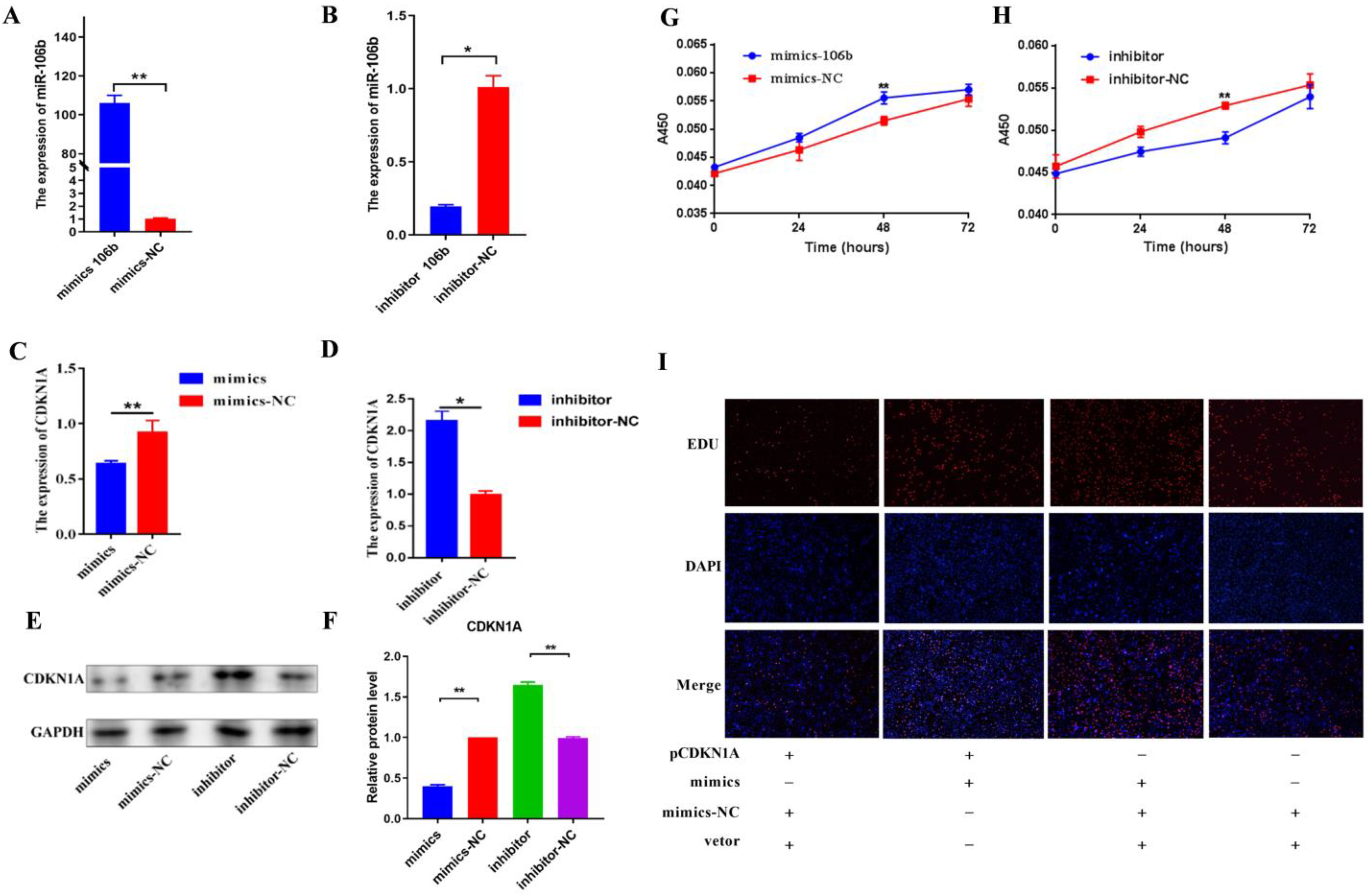 Genes 13 02308 g003 Genes 13 02308 g003