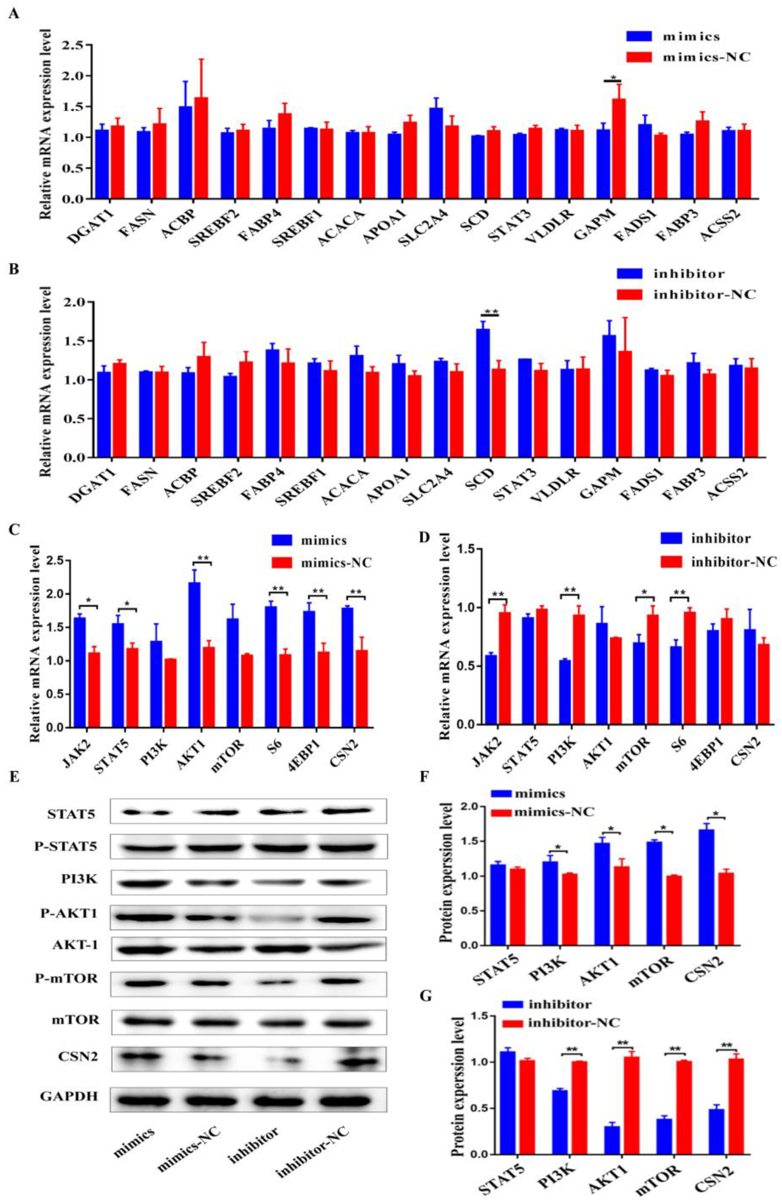 Genes 13 02308 g005 Genes 13 02308 g005