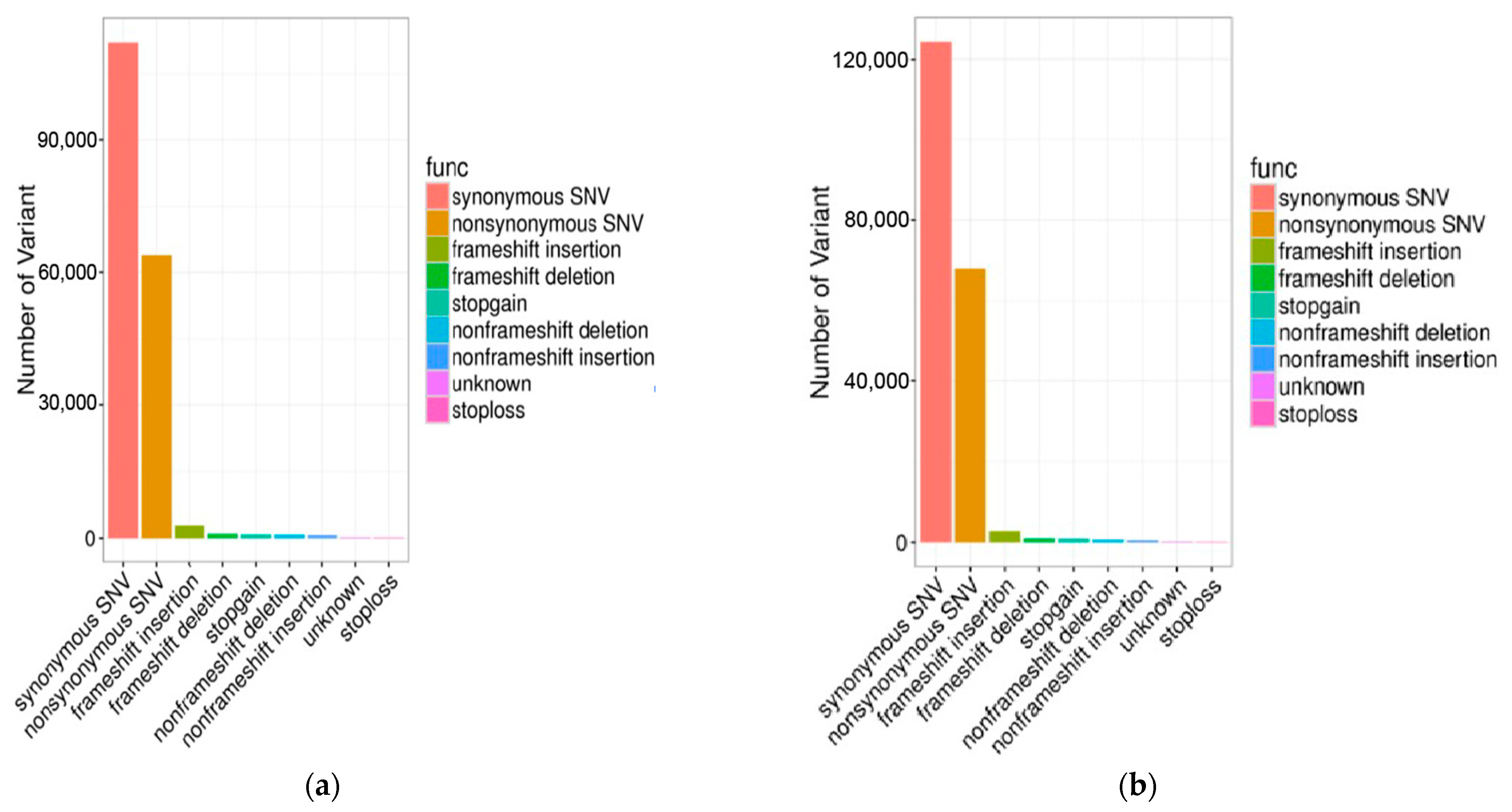 Genes 13 02310 g001 Genes 13 02310 g001