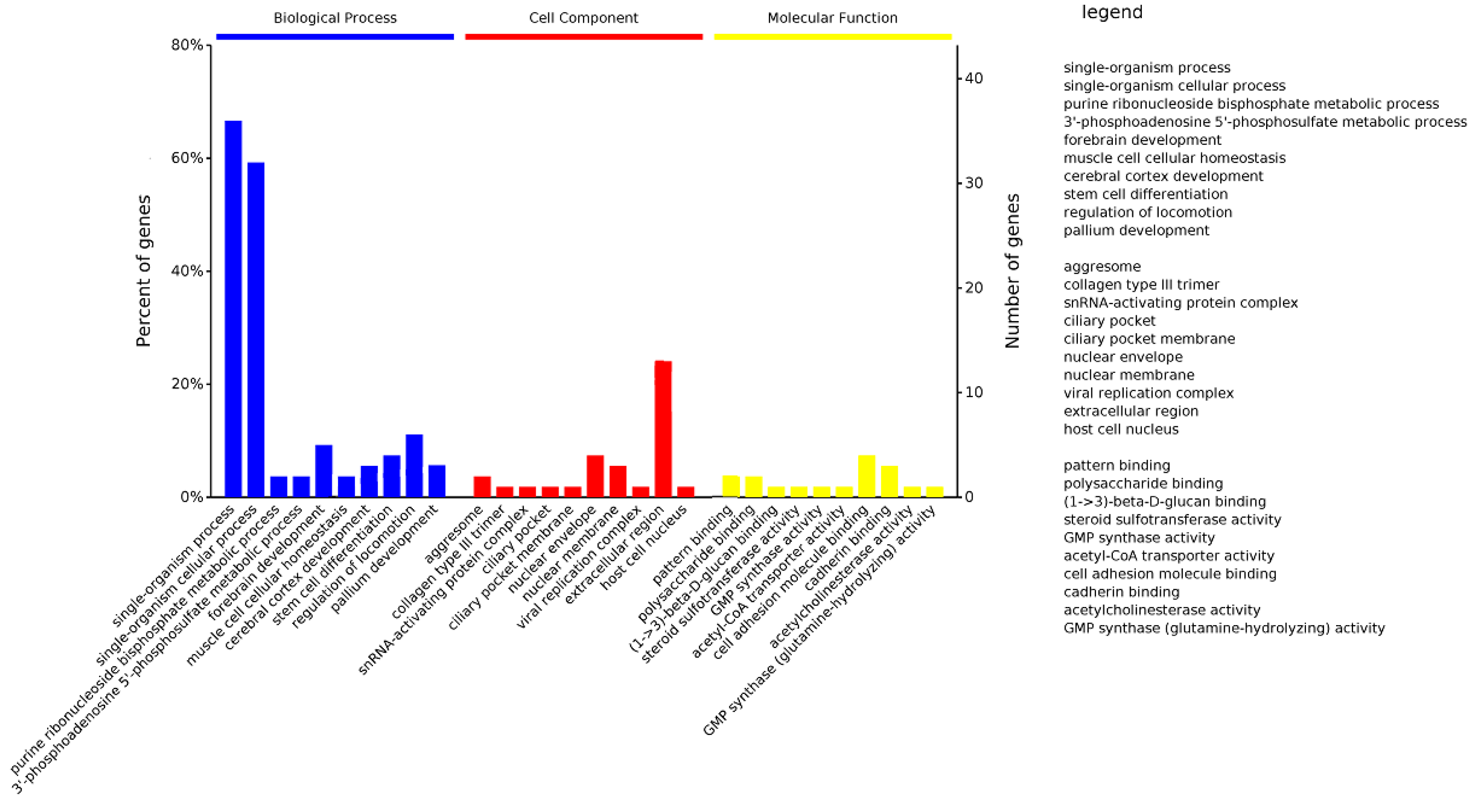 Genes 13 02310 g006 Genes 13 02310 g006