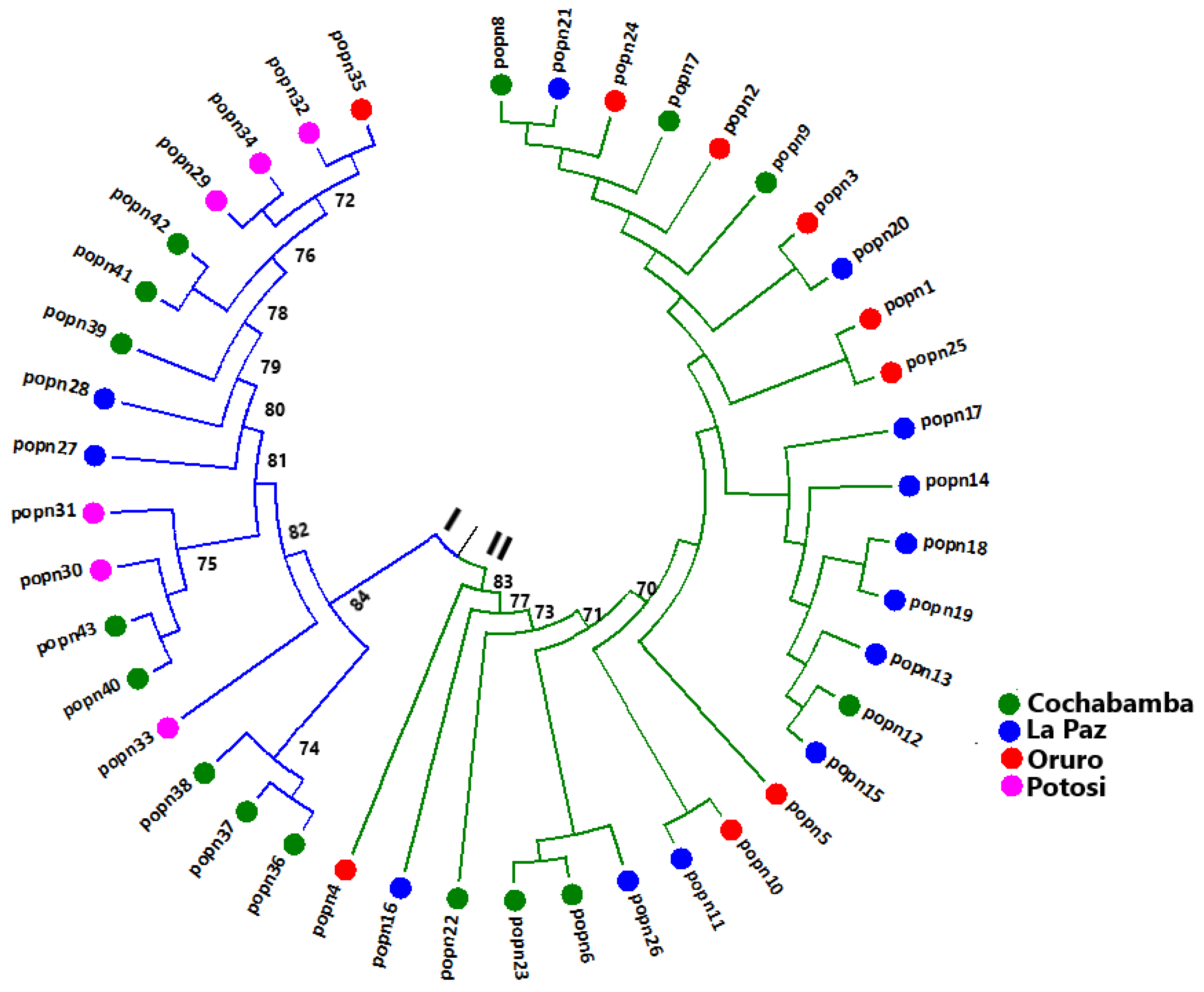Genes 13 02311 g002