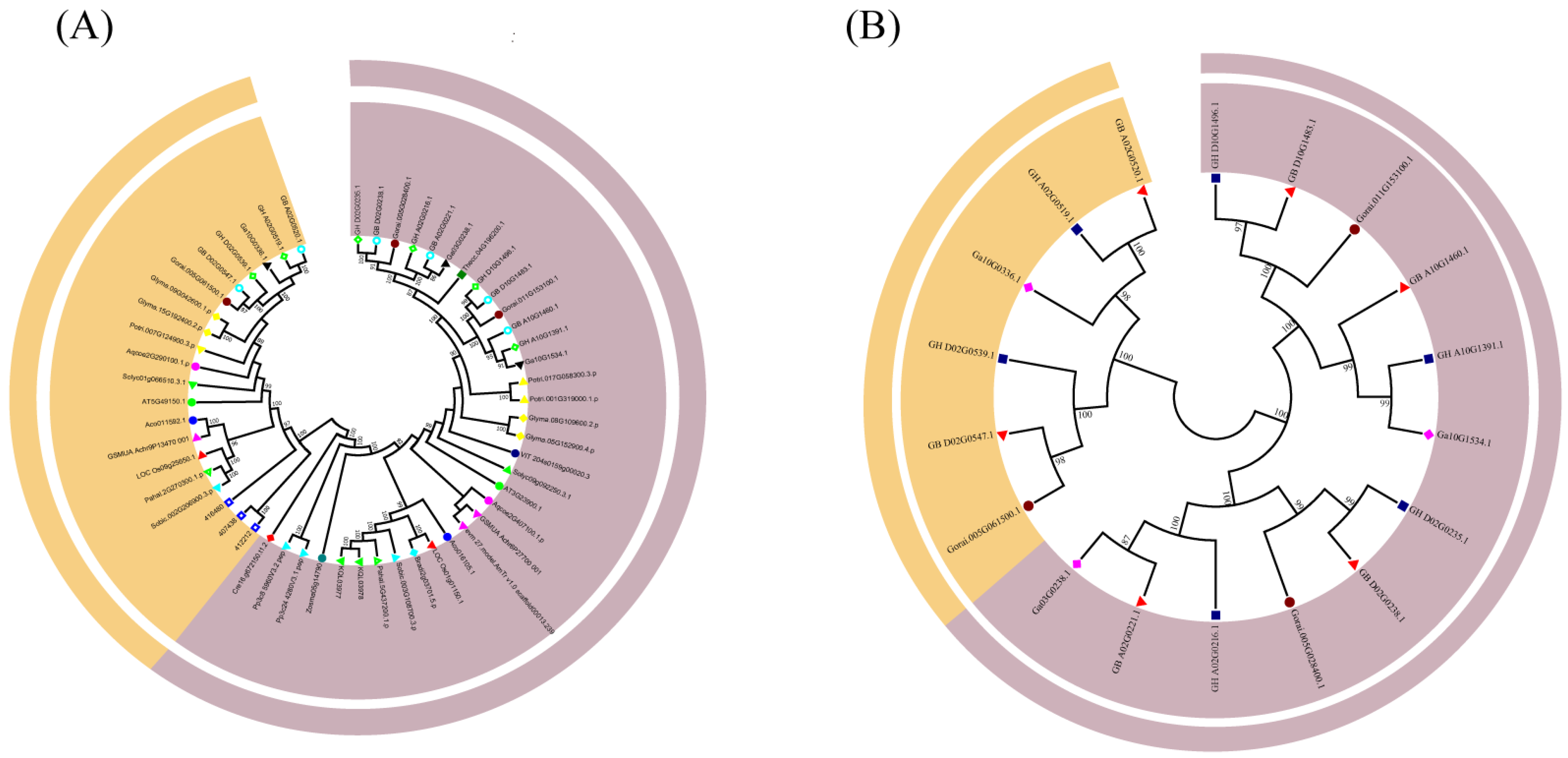 Genes 13 02313 g001 Genes 13 02313 g001