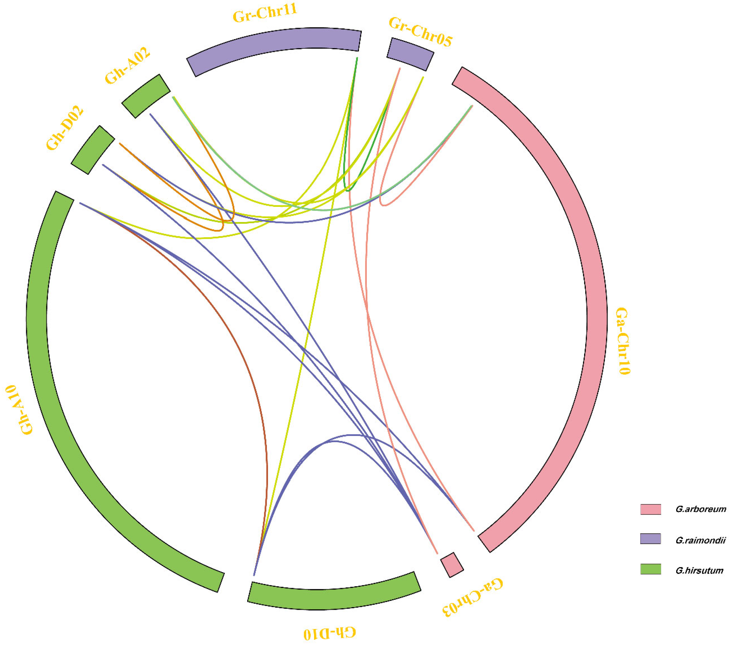 Genes 13 02313 g002 Genes 13 02313 g002