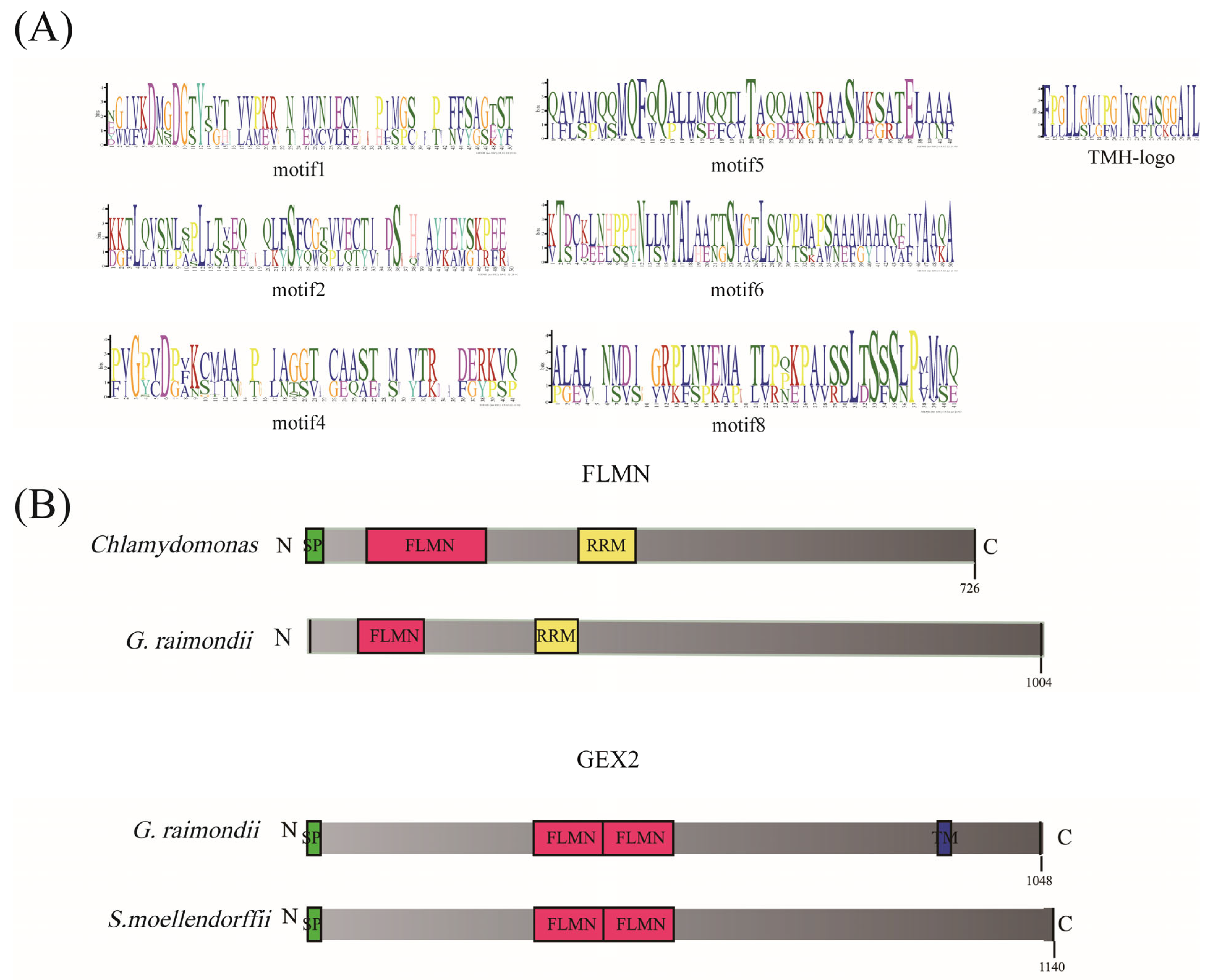 Genes 13 02313 g005 Genes 13 02313 g005