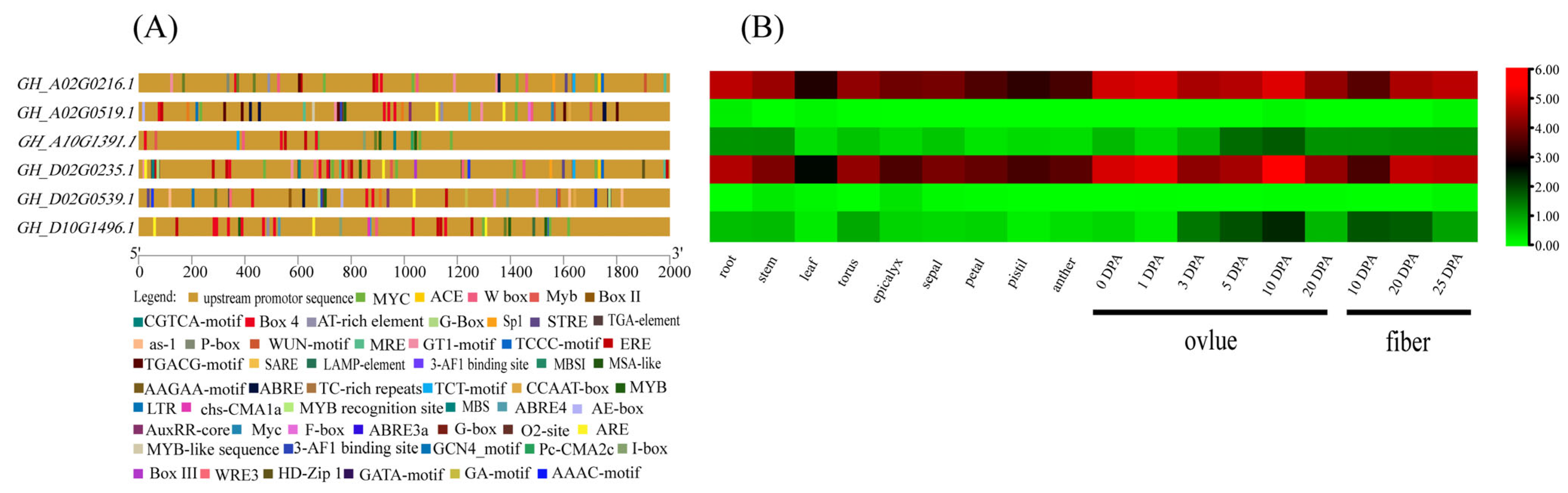 Genes 13 02313 g007 Genes 13 02313 g007