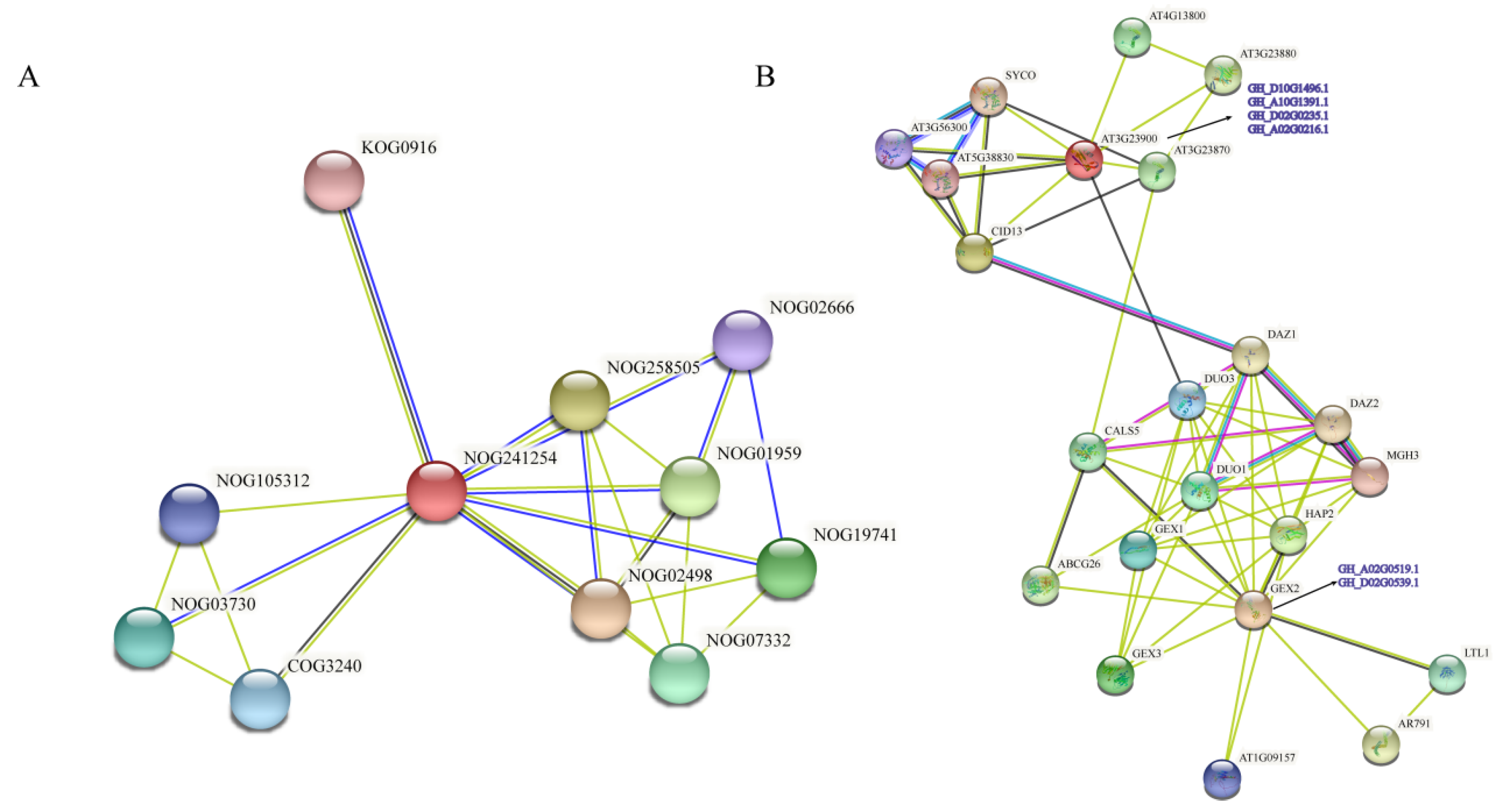 Genes 13 02313 g011 Genes 13 02313 g011