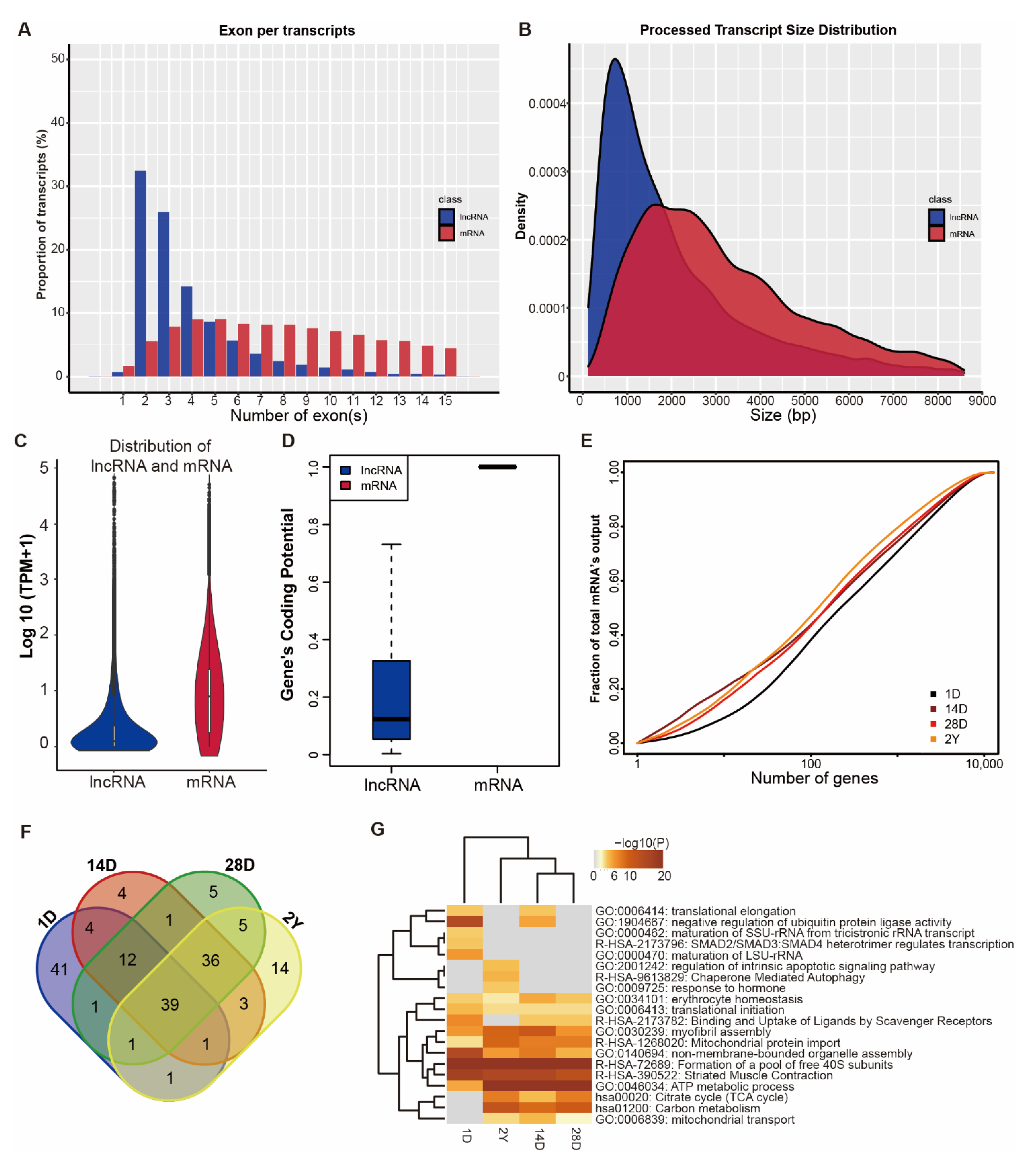 Genes 13 02314 g001 Genes 13 02314 g001