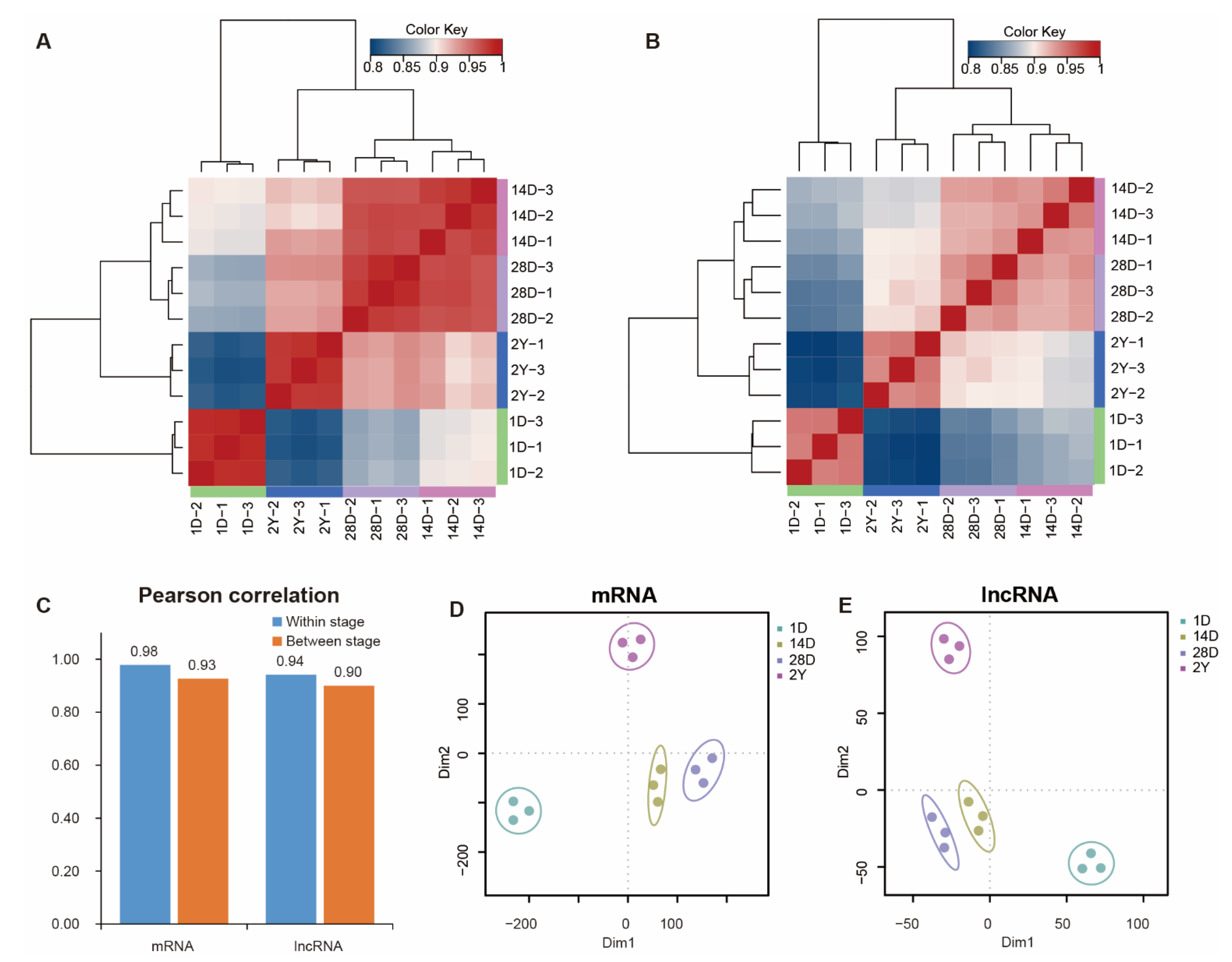 Genes 13 02314 g002 Genes 13 02314 g002