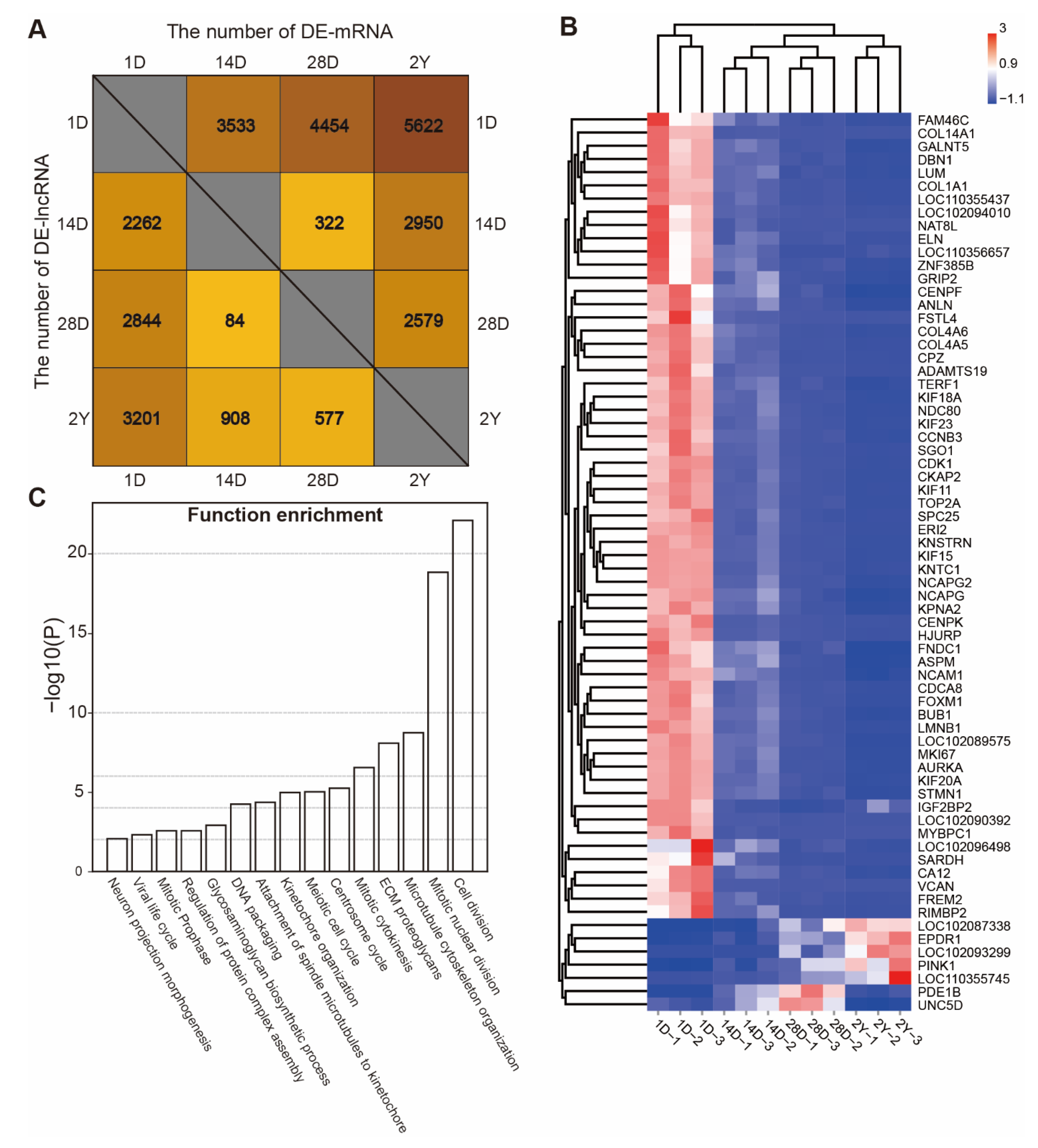 Genes 13 02314 g003 Genes 13 02314 g003