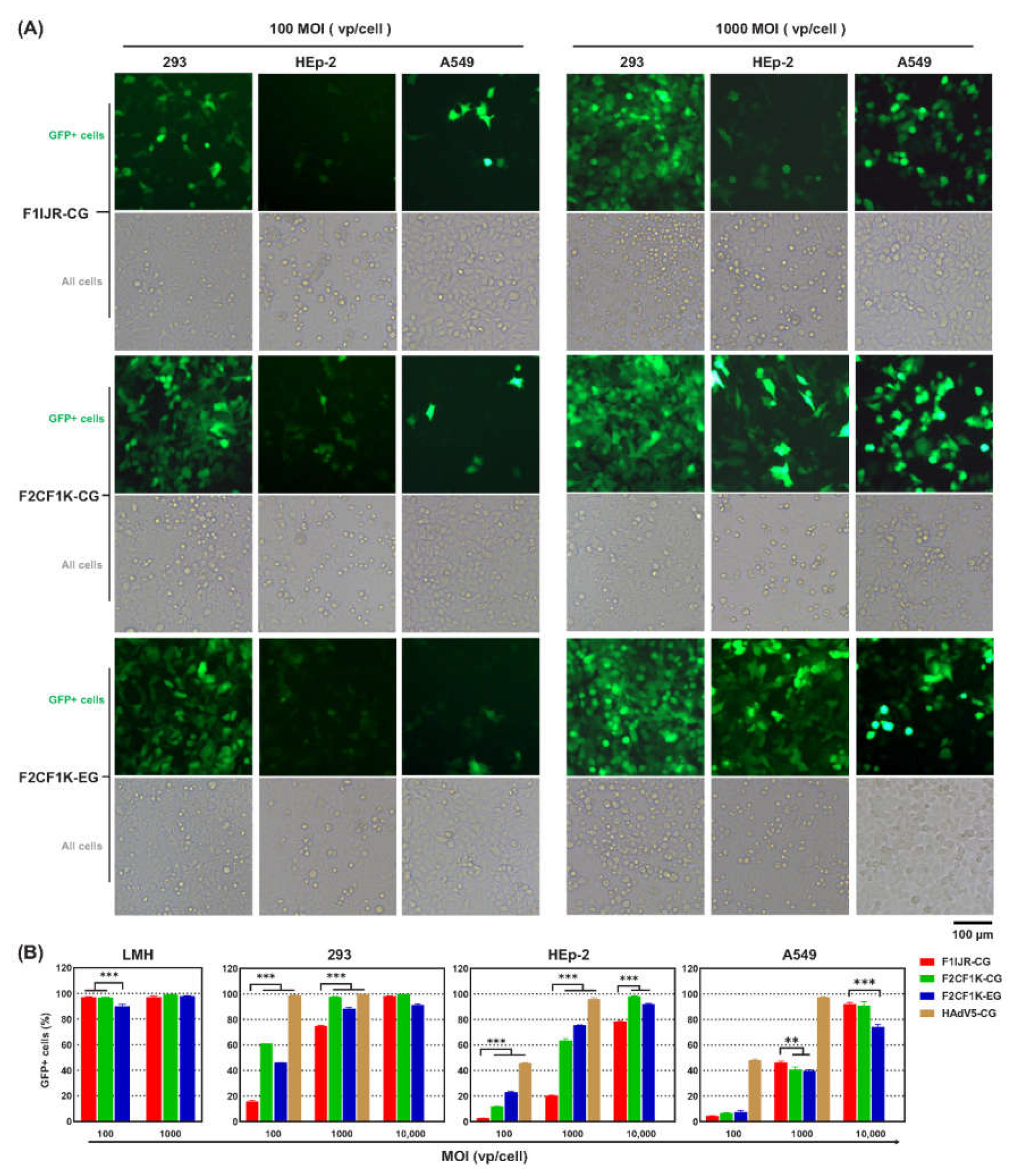 Genes 13 02316 g003 Genes 13 02316 g003
