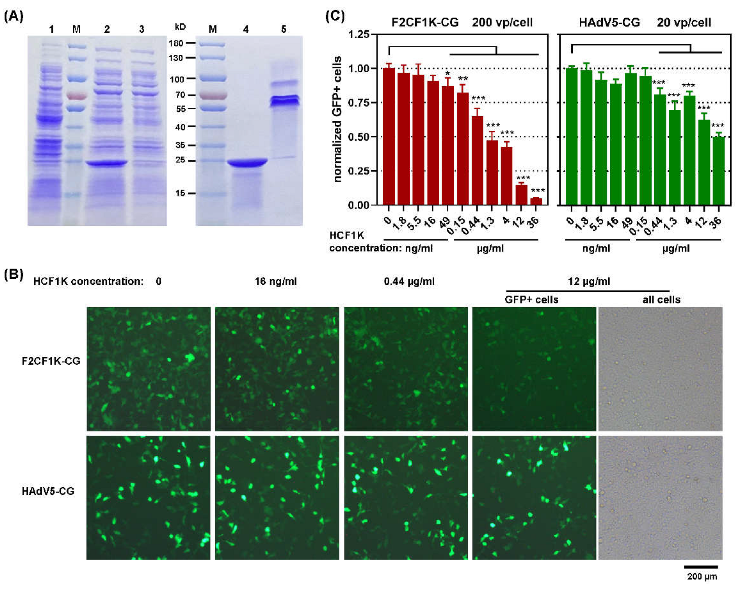 Genes 13 02316 g004 Genes 13 02316 g004